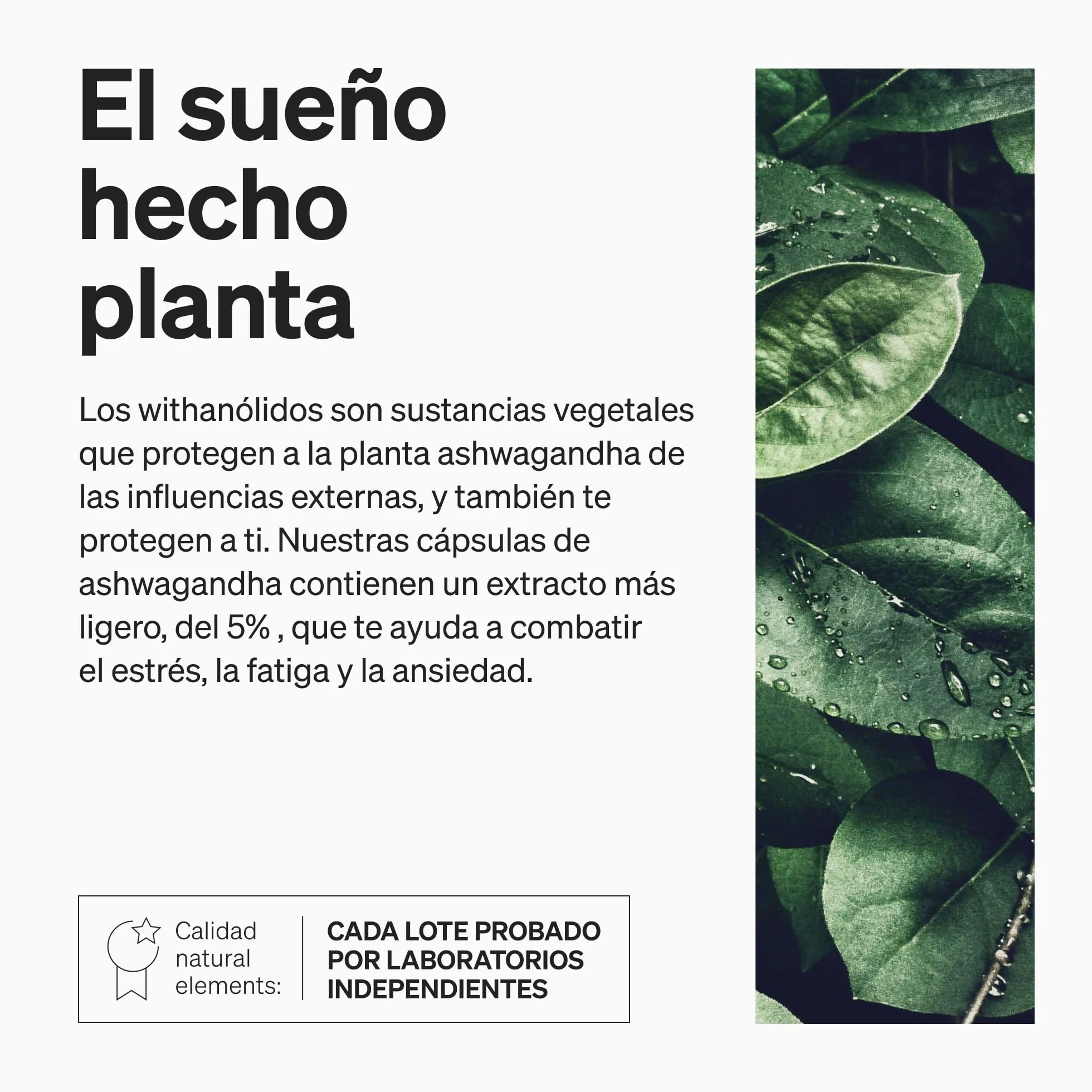Ashwagandha KSM-66® 600 mg extracto de raíz orgánica 180 cápsulas vegana probada en laboratorio