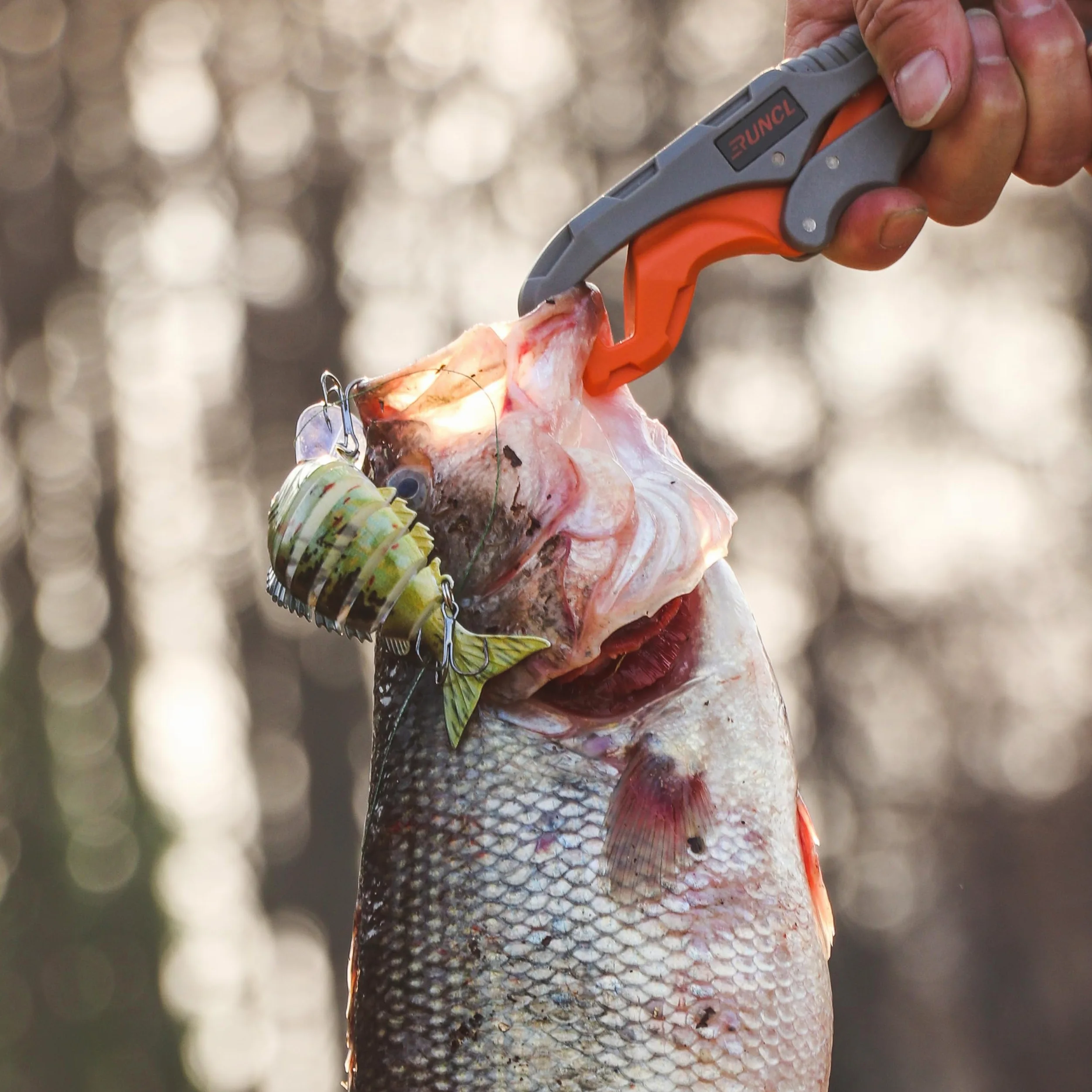 5 señuelos de pesca realistas: cebo multiarticulado para lubina, trucha, crappie, lucio, acción realista con ojos de pez 3D y ganchos afilados, perfecto para kits de pesca en agua salada y agua dulce