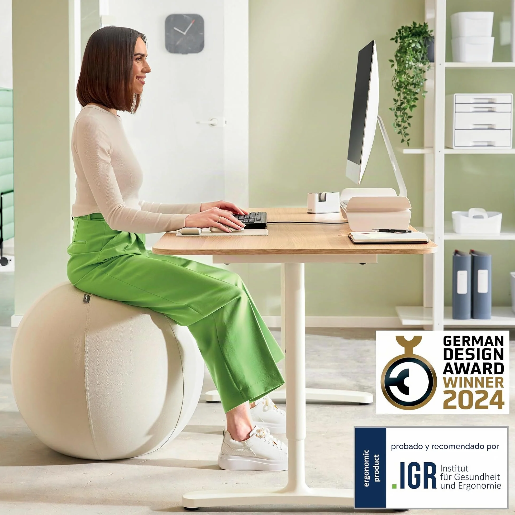 Leitz Balón de Asiento Ergo Active Antideslizante, Diseñado Ergonómicamente como Alternativa a la Silla de Escritorio, 75 cm de Diámetro, Incluye Funda de Tela, Bomba Aire Manual, 2 Tapones, 65430085
