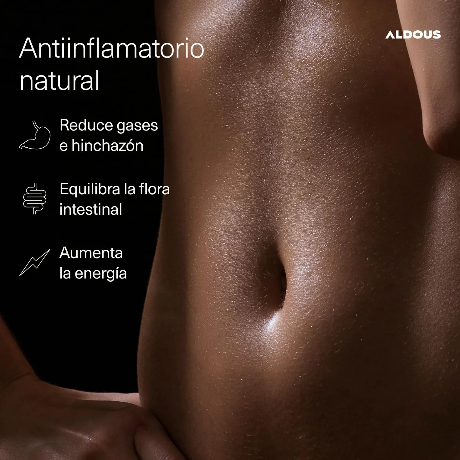 PROBIÓTICOS + BIO Cúrcuma con Jengibre y Pimienta Negra 1460mg Cápsulas Antiinflamatorio Natural