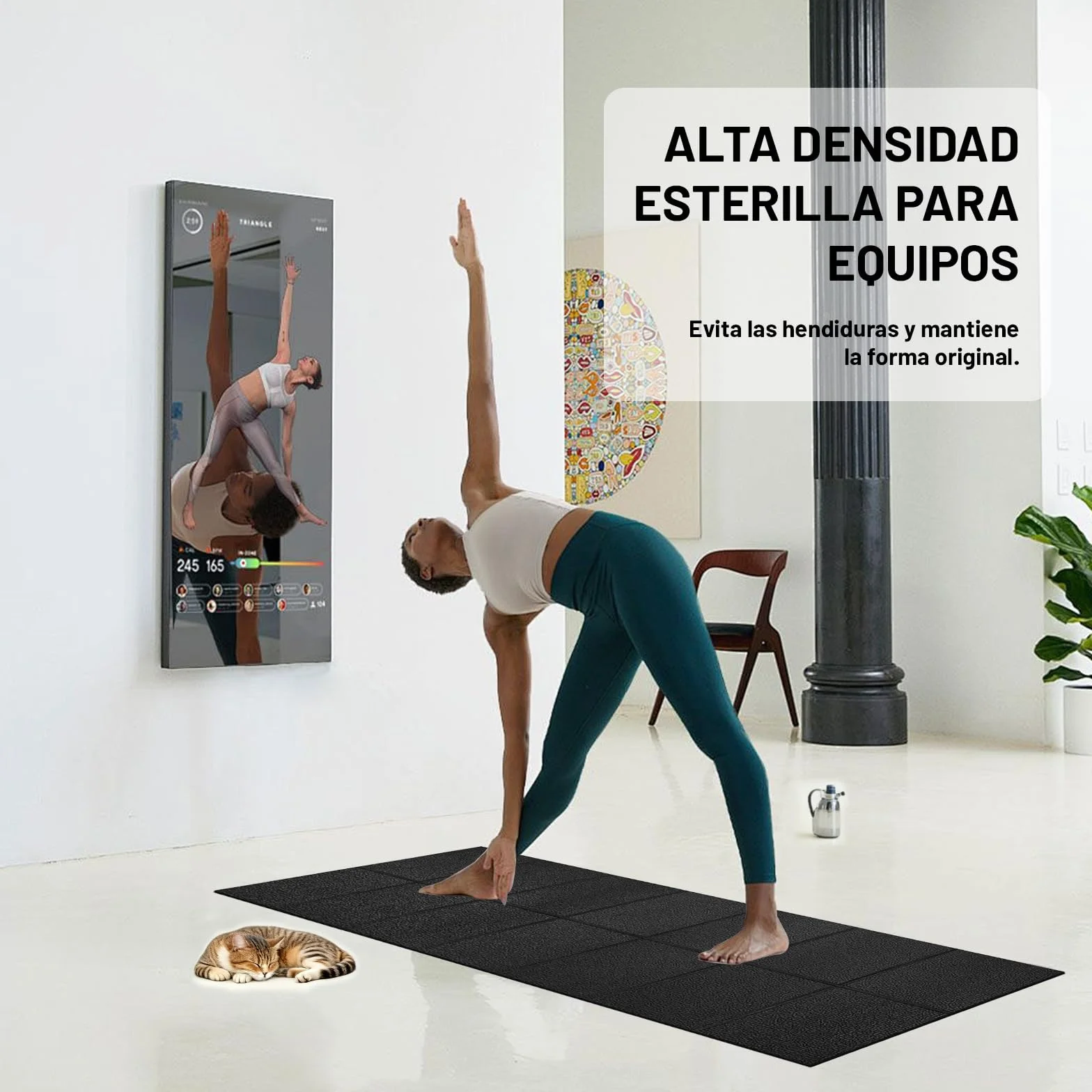 Esterilla de protección para Equipo de Ejercicio, Estera Fitness plegable 200*90cm, Suelo para gimnasio en casa 6mm para bicicletas estáticas, cinta de correr, Resistente Alfombrilla Protect
