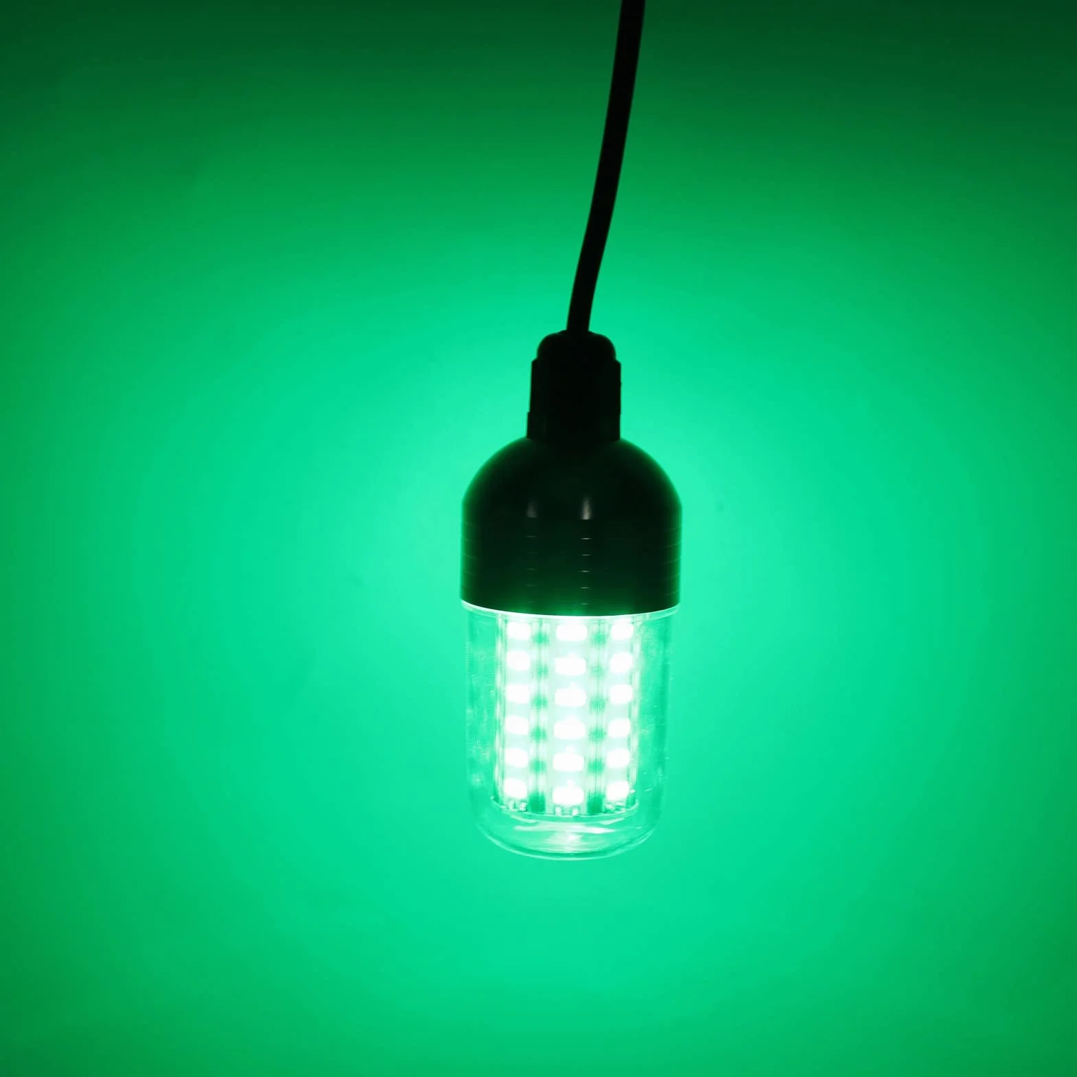 Luz LED para Pesca Submarina, 3000lm 30W IP68 Lámpara Impermeable Luz Verde 360 ​​grados Iluminación Subacuática Integral para Peces Caída Profunda Colección de Subacuática(#1)