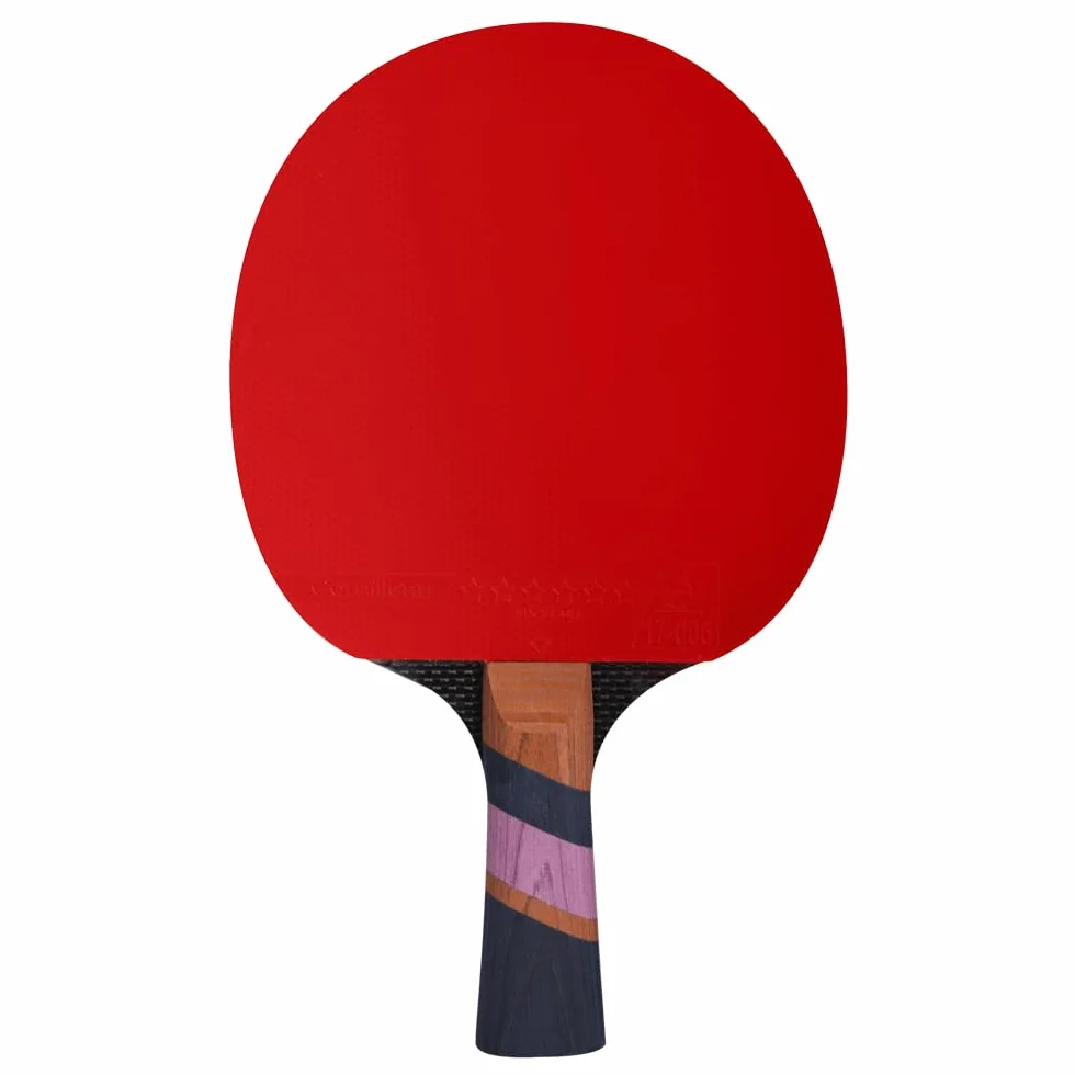 Cornilleau Excell 3000 Carbon Raqueta de ping pong