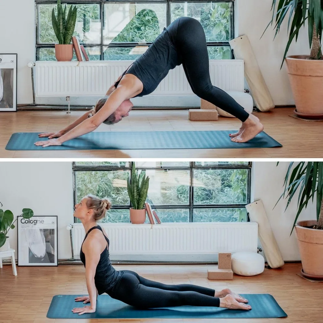 Bodhi Esterilla de yoga Eco Pro Diamond | Ultra Grip | 100% caucho natural | Ecológica | Esterilla profesional para pilates y gimnasia | Ideal para yoga dinámico y yoga caliente | 185 x 60 x 0,6 cm