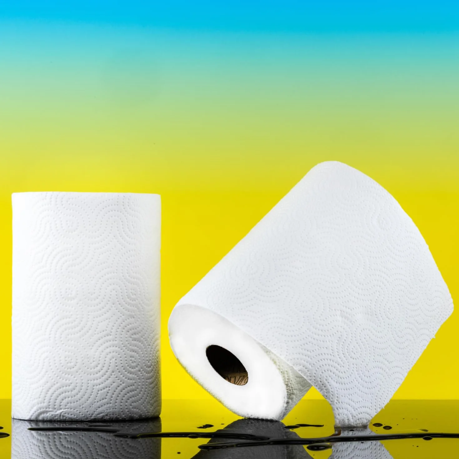 Renova Rollos de Cocina Maxi Absorption Extra XXL 2 rollos Tamaño Triple