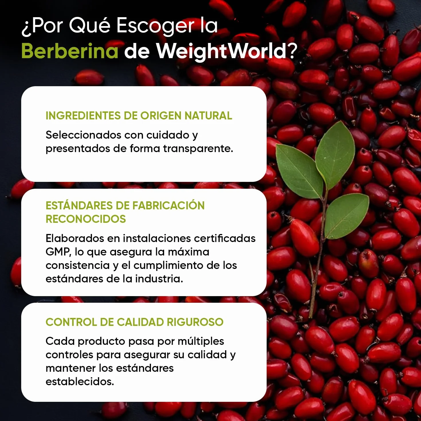 Berberina 500mg 120 Cápsulas 85% Alcaloides Suplemento Vegano Sin Gluten