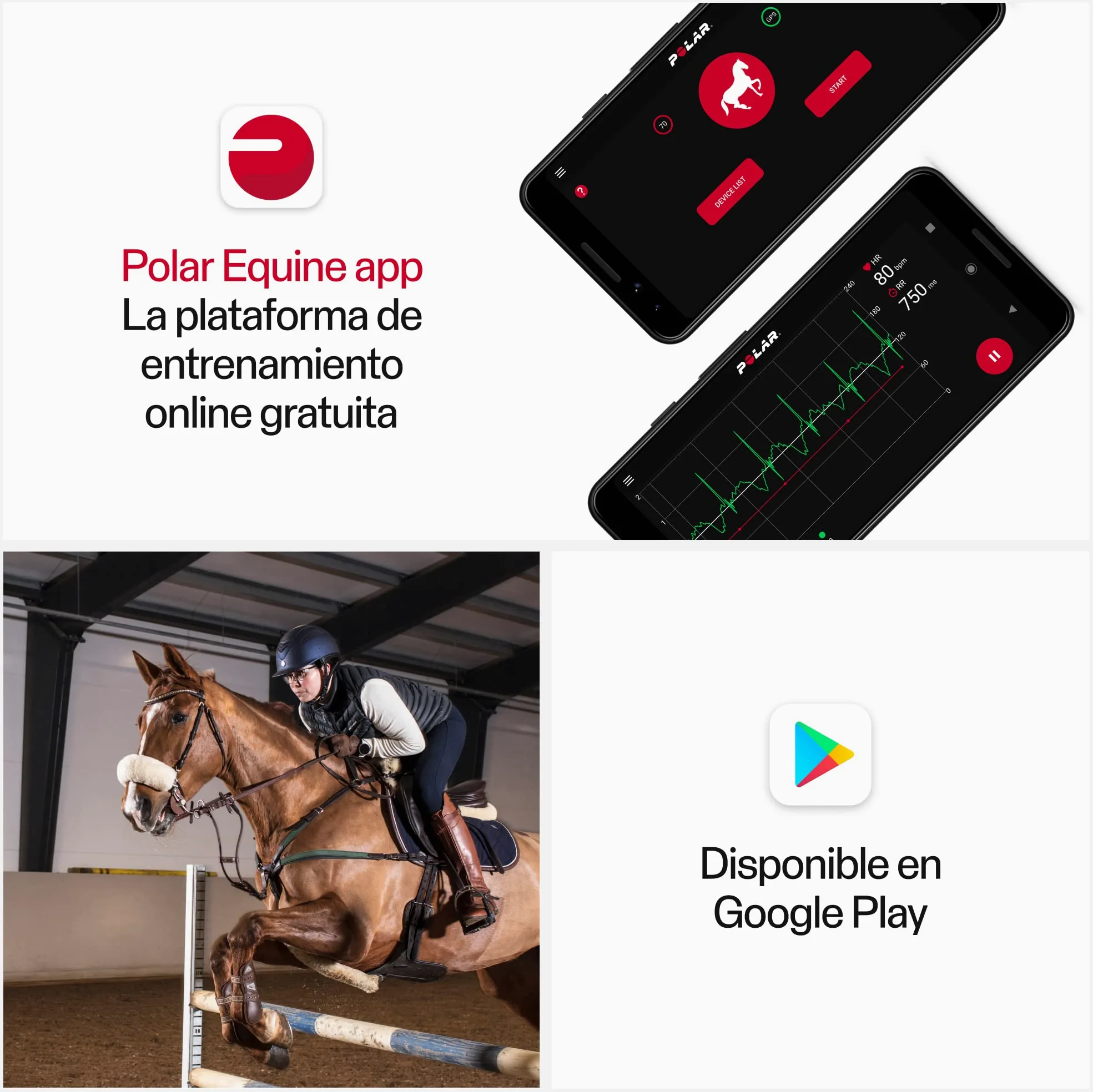 Polar H10 Equine - Sensor de Frecuencia Cardíaca para Caballos – Monitorización Avanzada para Equitación y Trote