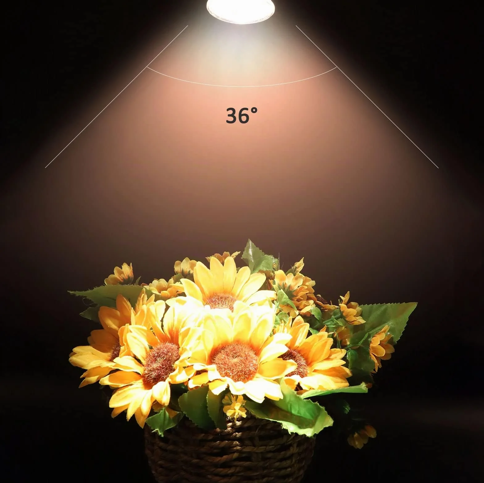 Caldarax Paquete 8 Bombilla Halógena Reflectora GU5.3 12V 50W Regulable Dicroica 2700K Blanco Cálido 660lm 36° Ángulo de Haz