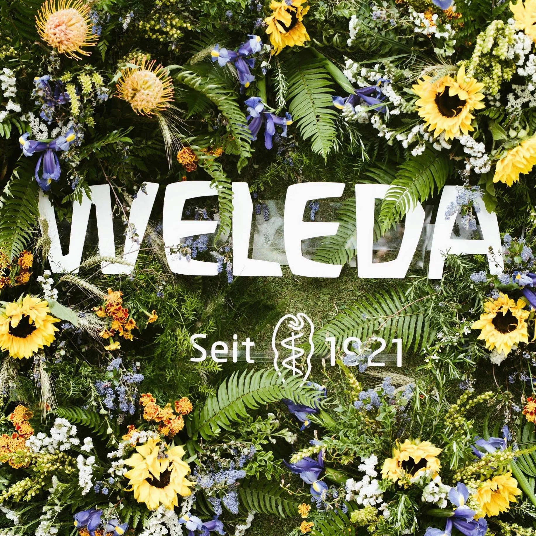 WELEDA Aceite de masaje de árnica 100 ml preparación recuperación deportiva