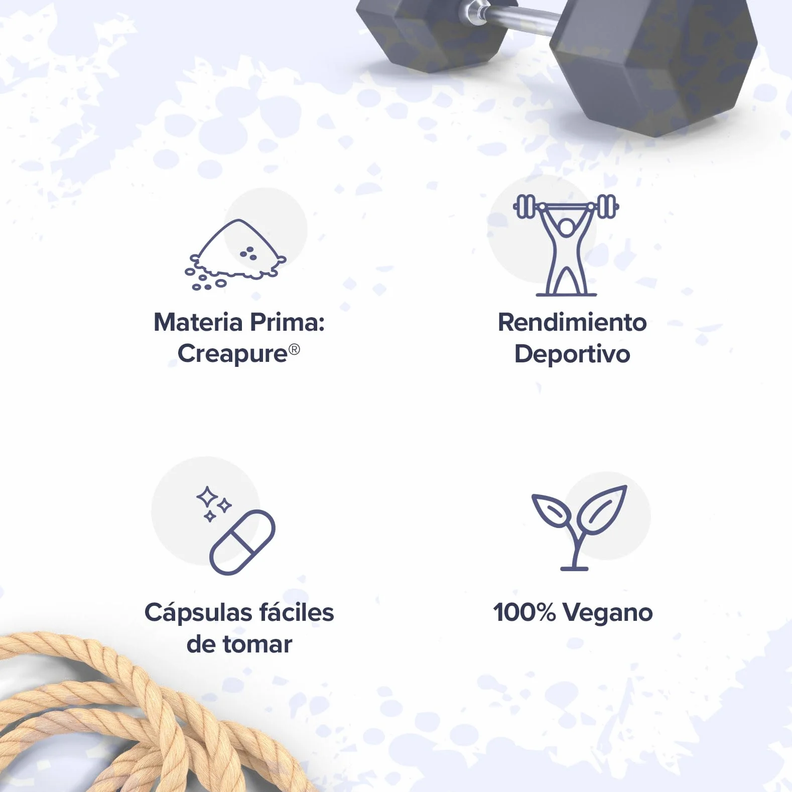 HSN Creatina 100% CREAPURE® Cápsulas 120 Unidades 40 Servicios Monohidrato de Creatina Micronizada Vegano Sin Gluten