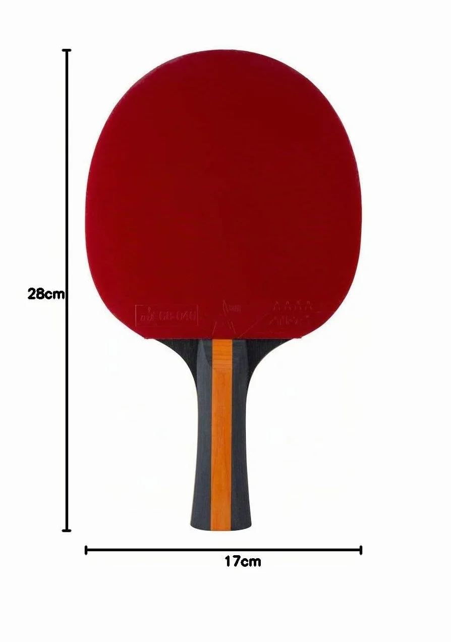 STIGA Vision 4-Star Table Tennis Racket ITTF Approved Crystal Technology High-Speed Control Spin