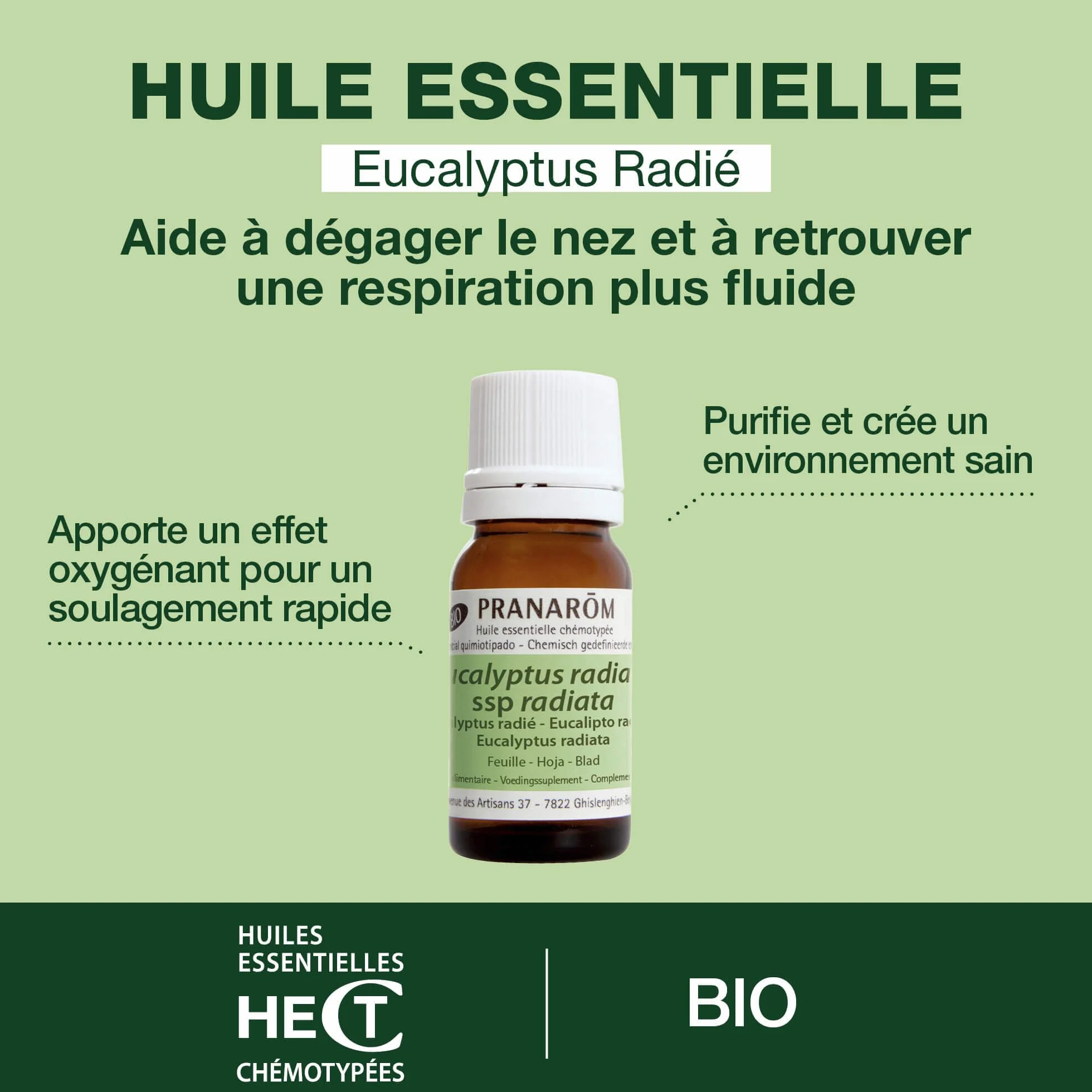 PRANAROM Eucalipto Radiata BIO Aceite Esencial Quimiotipado HECT 10 ml