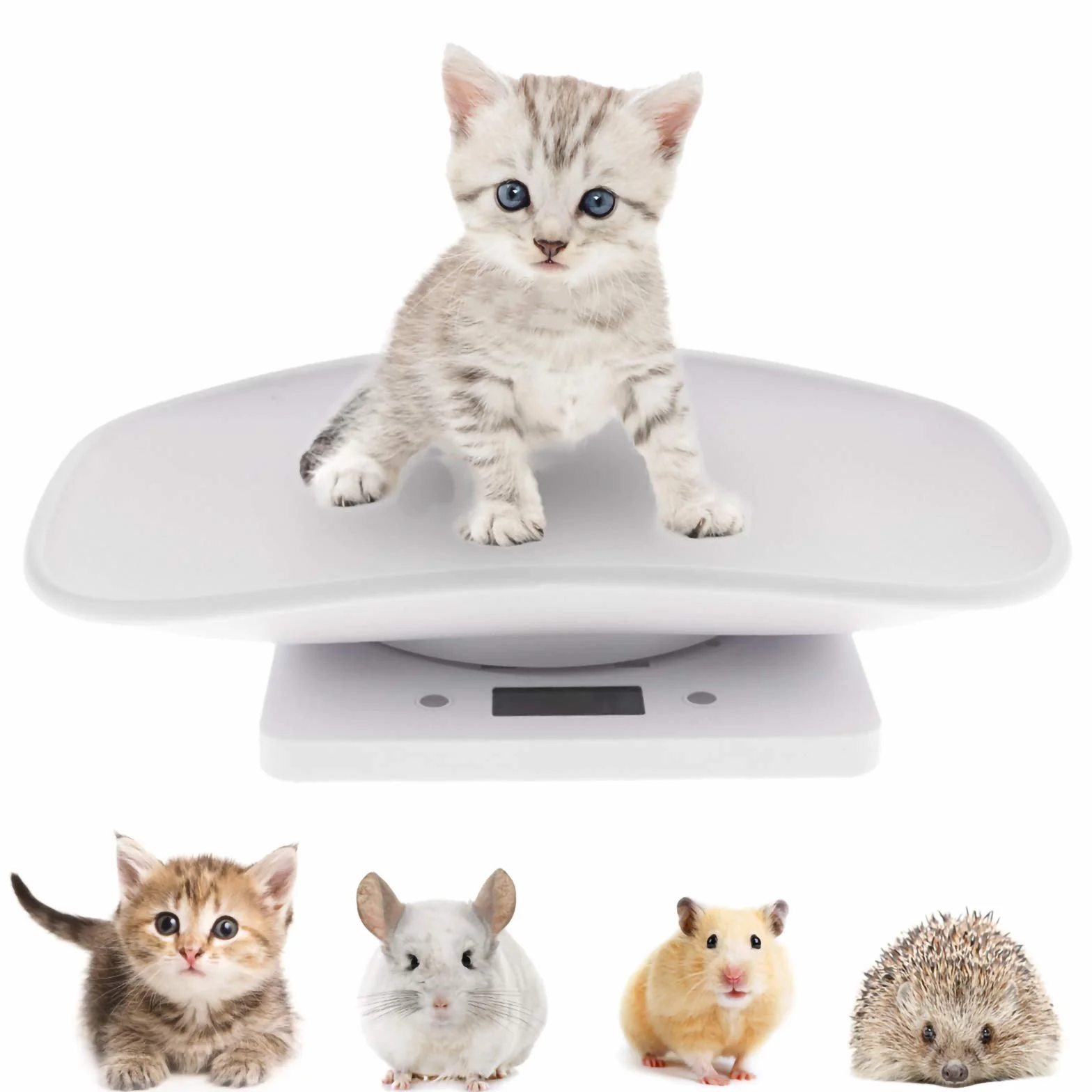 FAMKIT Báscula de pesaje digital para perros bebés cocina con pantalla LCD capacidad 22 LB