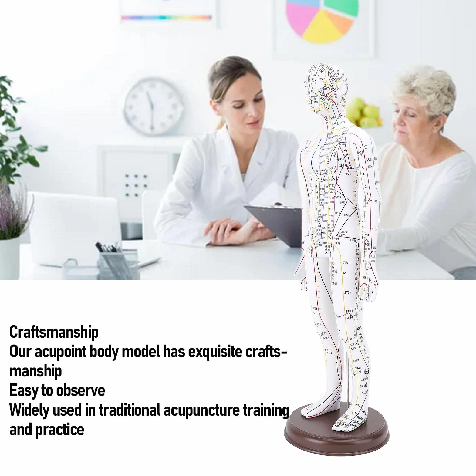 Muñeca de Acupuntura de 52 Cm, Modelo de Cuerpo Humano, Maniquí Masculino/Femenino con Base