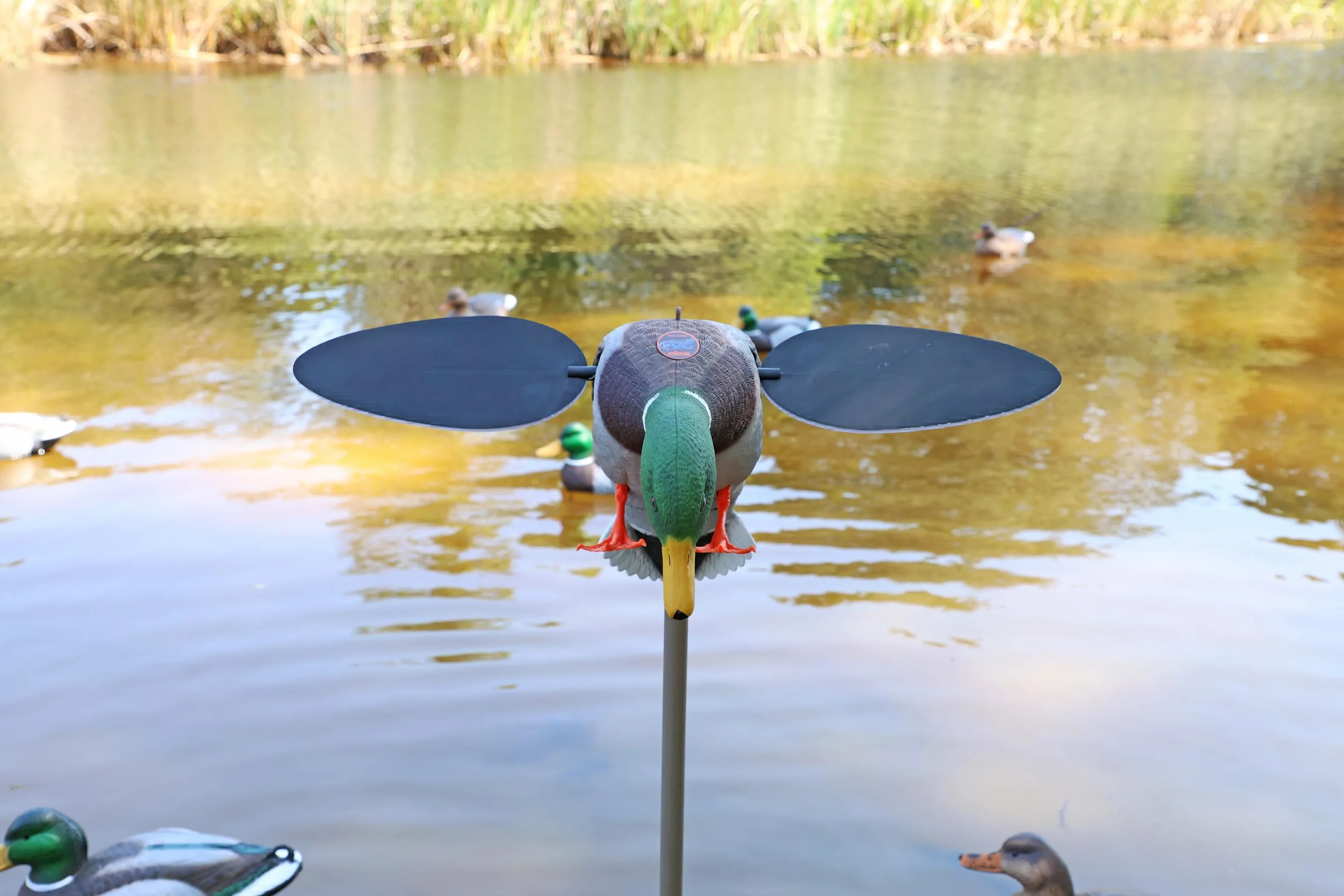 MOJO Outdoors Hw2025 Señuelo Plateado de Mallard, Unisex, Plata