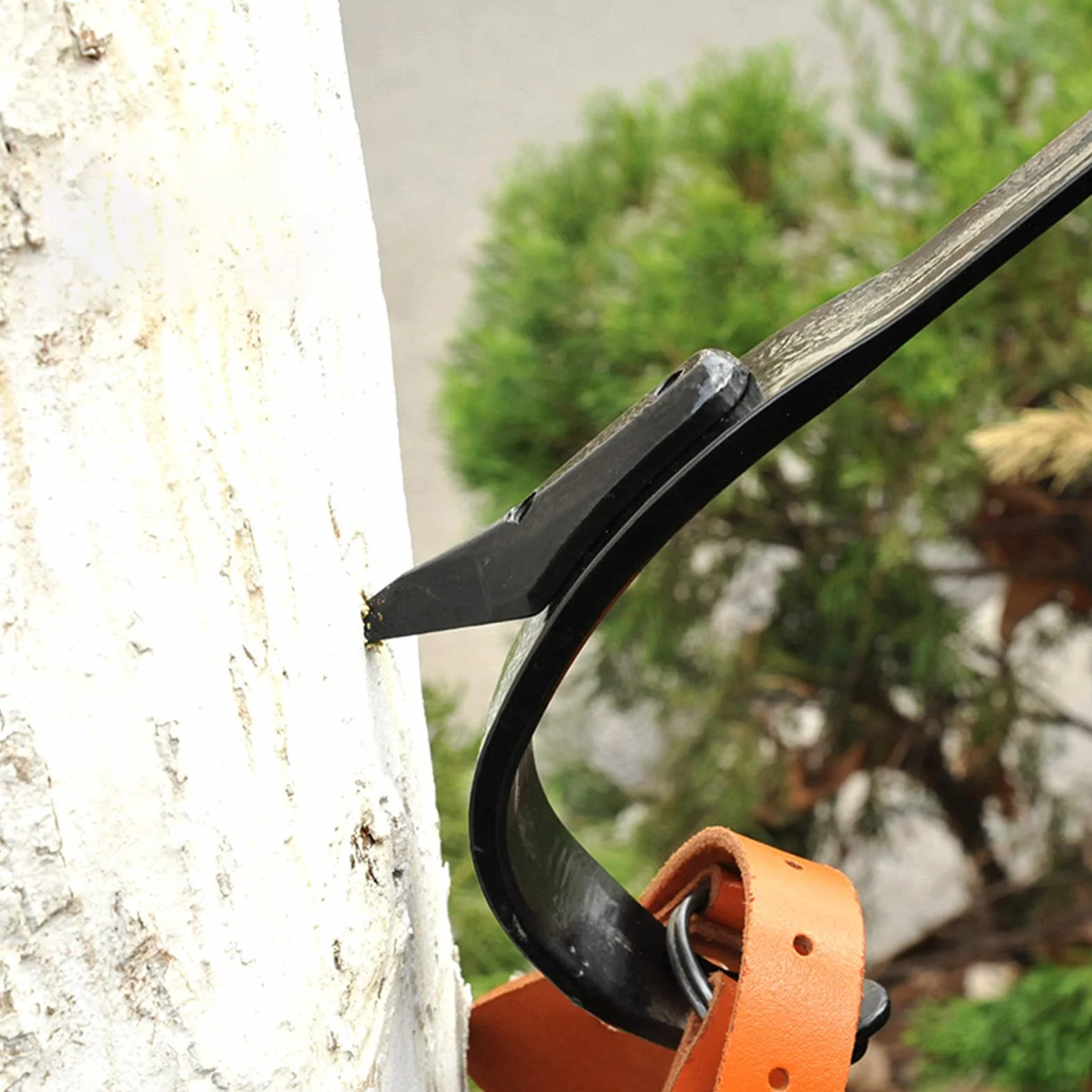 Estacas de escalada de árboles para trepadores – Espuelas de escalada de árboles de pie para tala, observación de caza, recolección de frutas – Herramienta de escalada de árboles integrada