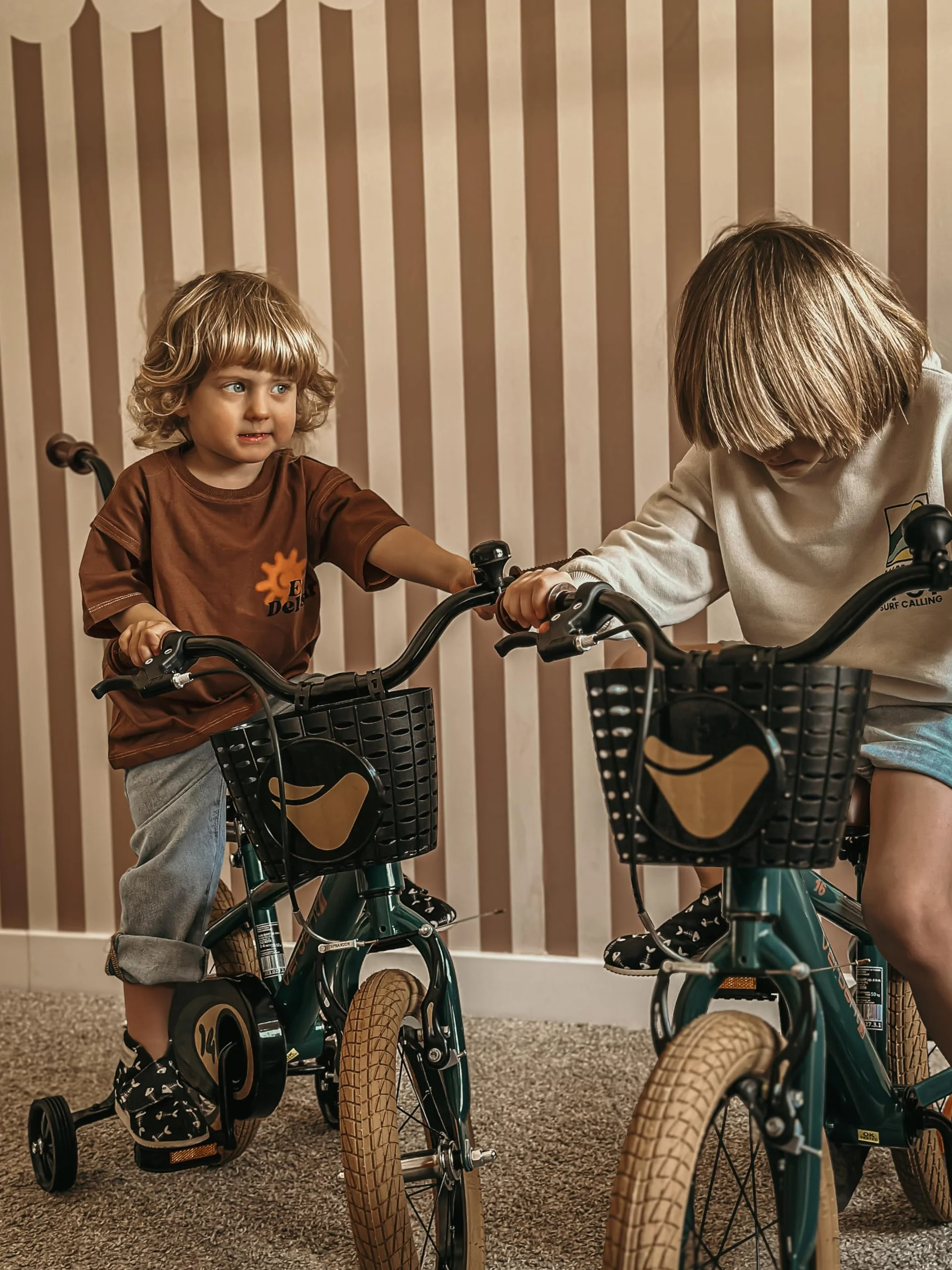 sun baby Verdant Bike Bicicleta Infantil de niño con Ruedas de Entrenamiento 12/14/16 Pulgadas, de niño 2-6 años, Manillar Ajustable y Timbre, V-Break y Freno de Torpedo