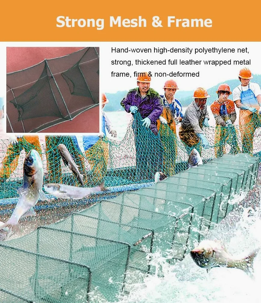 Trampa for camarones y cangrejos de 7,9 a 52,5 pies de Largo, trampas for Peces, Red de Pesca de Agua Salada, Captura automáticamente más Peces fácilmente