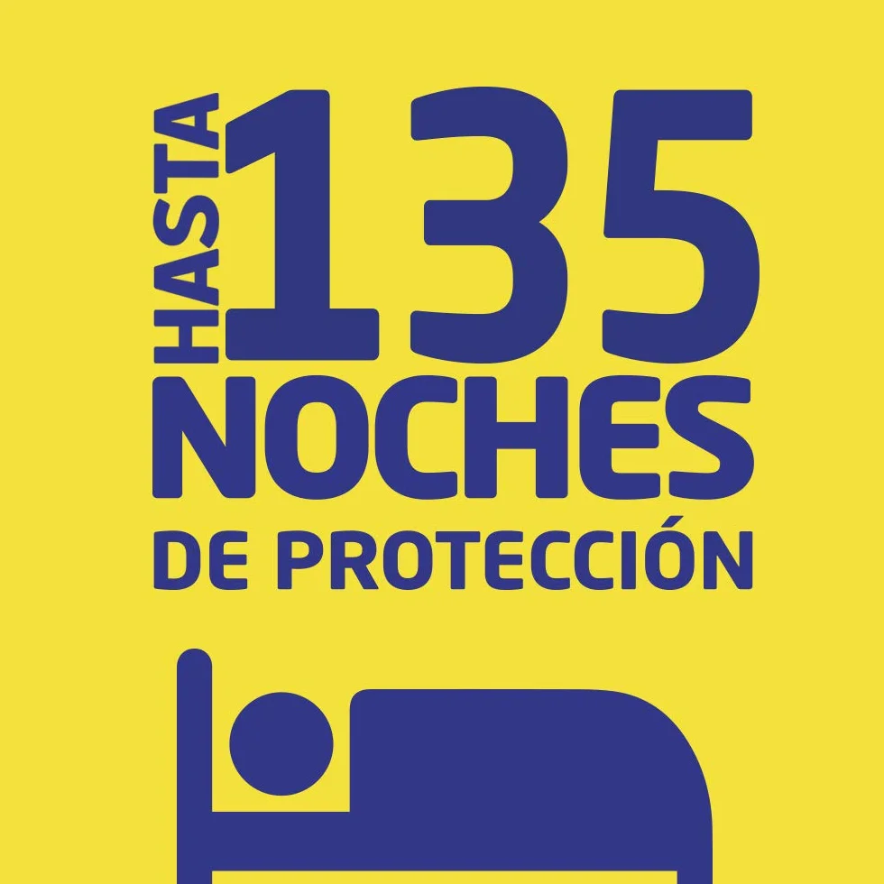 Bloom Insecticida Eléctrico Líquido 6 en 1 Antimosquitos 3 Aparatos + 3 Recambios 135 Noches