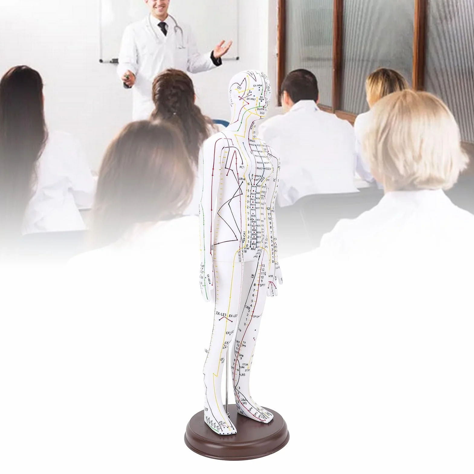 Muñeca de Acupuntura de 52 Cm, Modelo de Cuerpo Humano, Maniquí Masculino/Femenino con Base