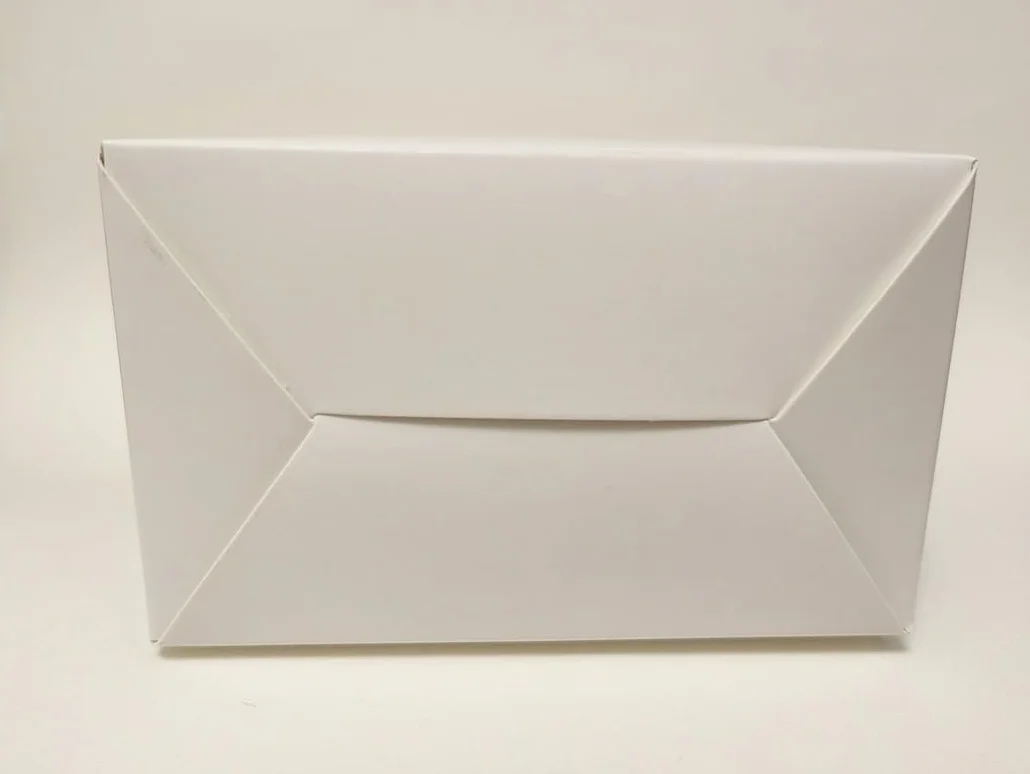 Funda de viaje para máscara de terapia de luz LED FOLOKE cuidado piel y cuello