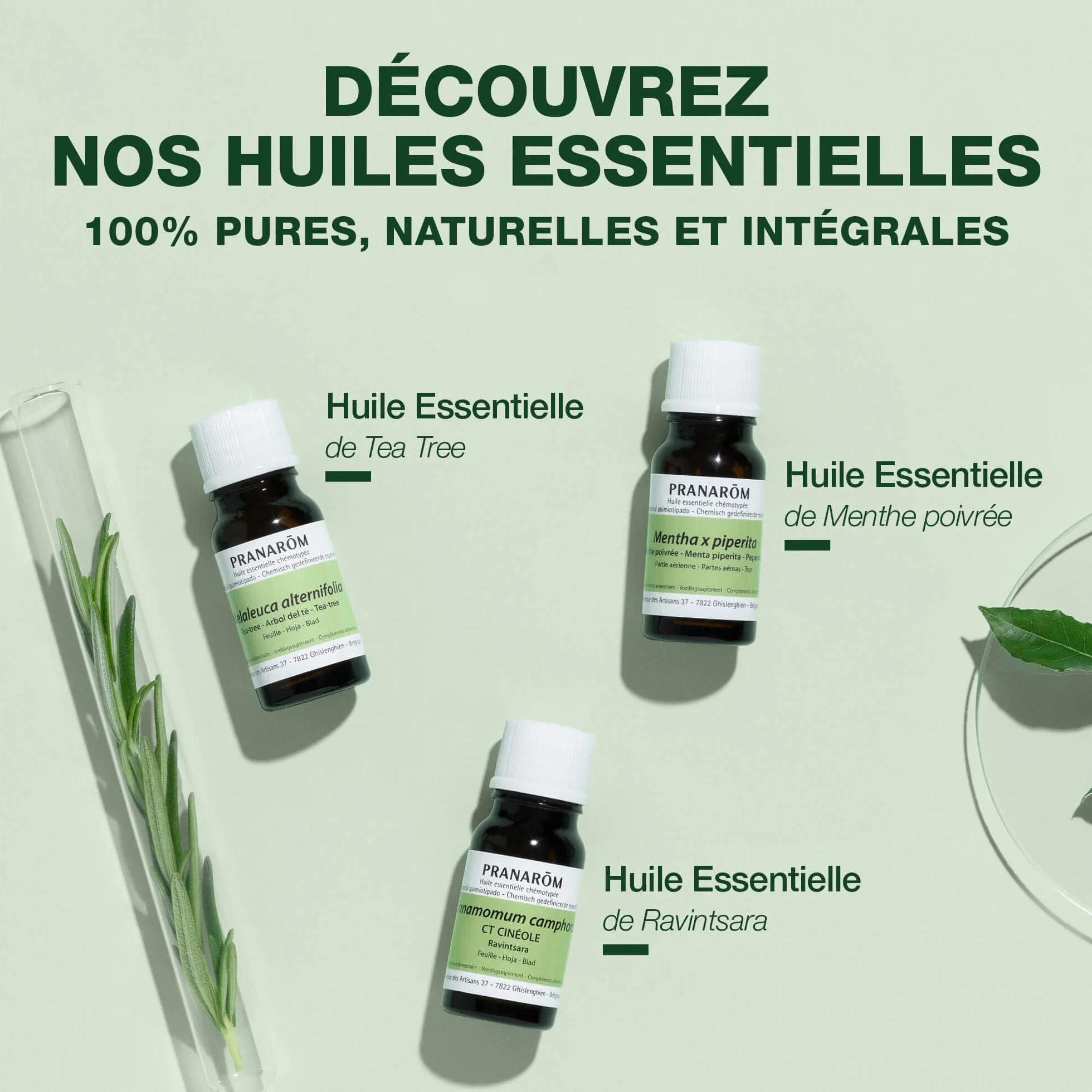 PRANAROM Eucalipto Radiata BIO Aceite Esencial Quimiotipado HECT 10 ml