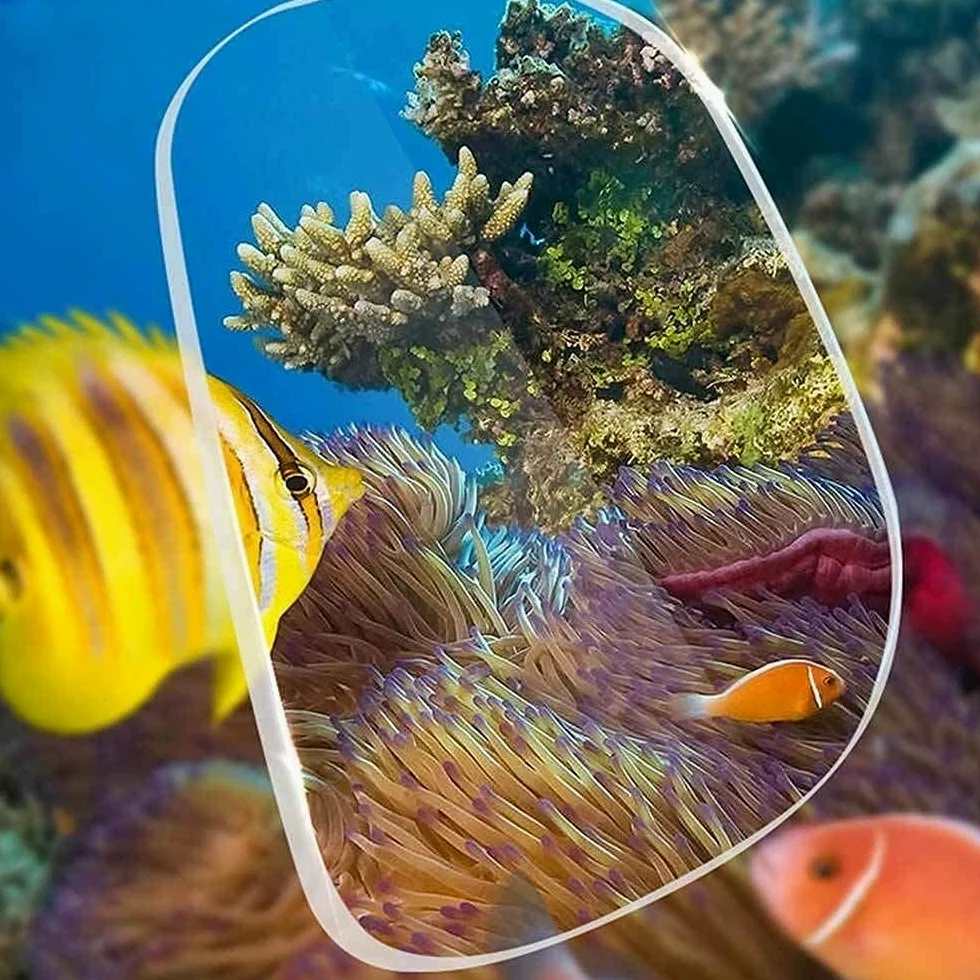 Máscara De Buceo Profesional Y Snorkel: Gafas HD Antivaho Y Antifugas, Ideal para Apnea Y Natación, con Tubo De Respiración Fácil. Apto para Adultos.