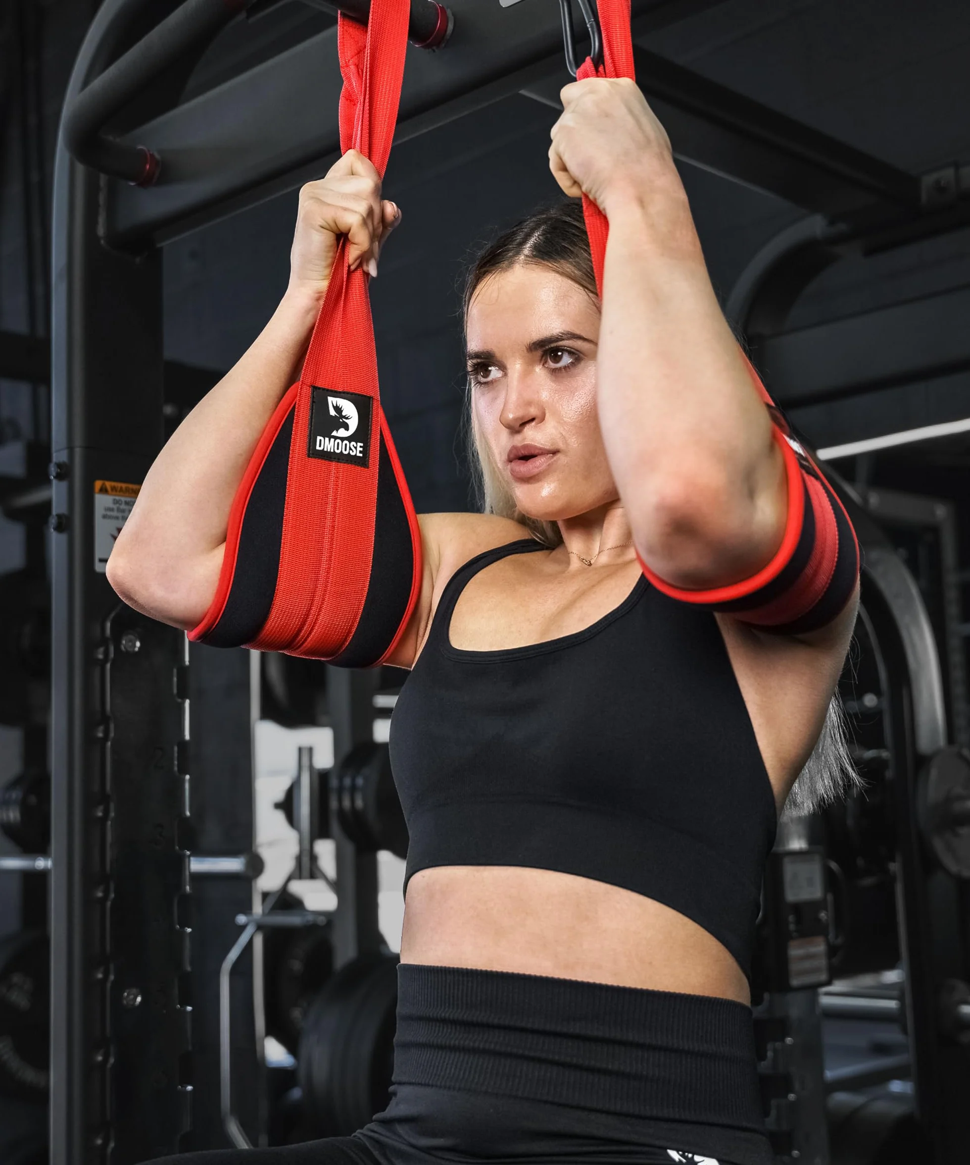 DMoose Fitness Ab Correas - Ejercitador de gimnasia para el hogar Six Pack - Soporte y costuras de doble correa, tejido antidesgarro, relleno de brazo más largo y grueso - Equipo de entrenamiento de Grado superior para hombres y mujeres