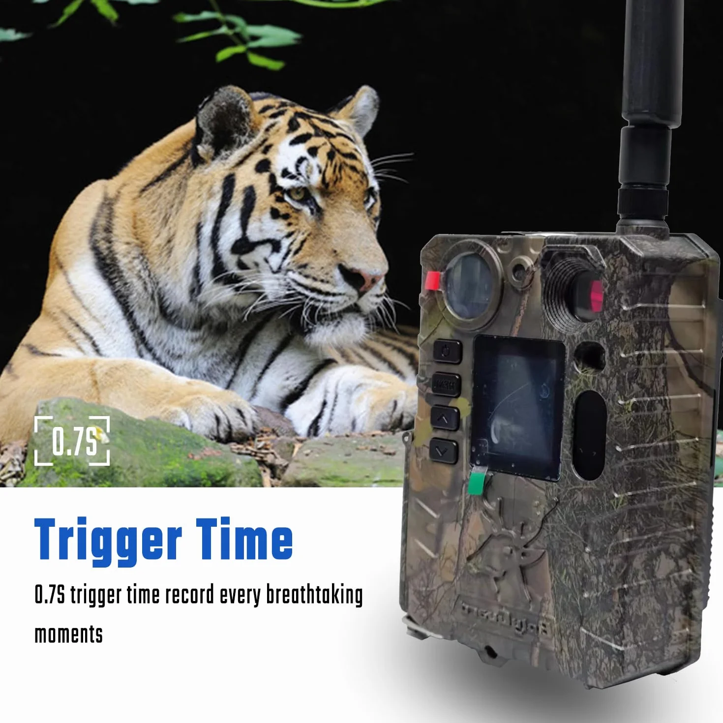 Bolyguard 4G 37MP 4K Cámara Salvaje con Transmisión por Celular, cámara de Caza con visión Nocturna activada por Movimiento, 30 m Visión Nocturna, MMS, GPRS y Correo Electrónico