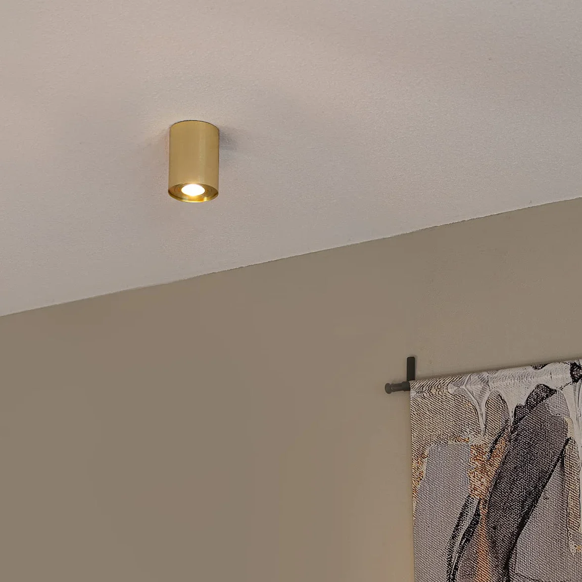 Foco giratorio e inclinable RONDOO 1 UP Aluminio Cilíndra LED Max. 50W