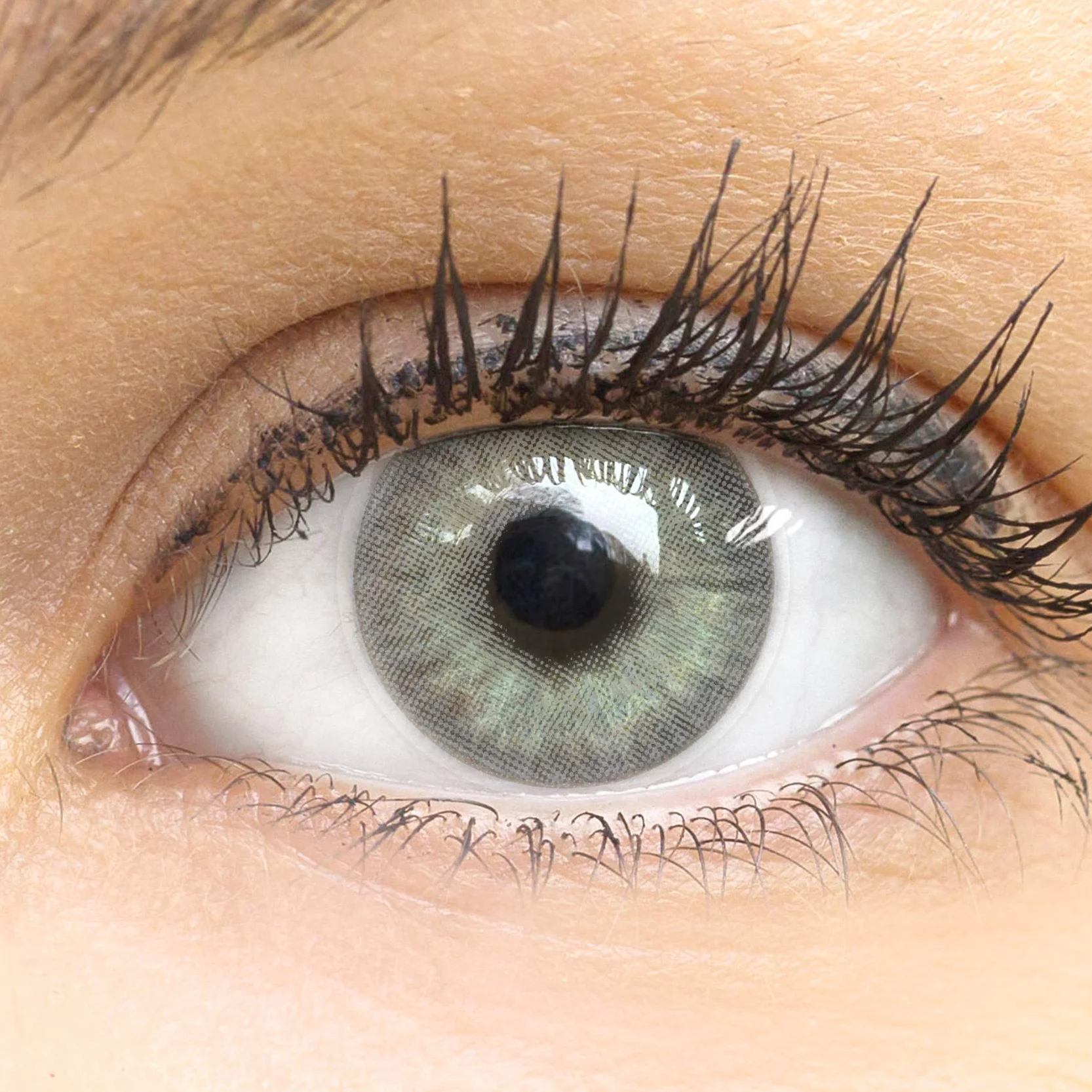 GLAMLENS lentillas de color gris Mailand Grey 1 par 90 días sin graduación blandas hidrogel de silicona