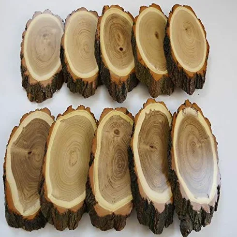 GTK - Geweihe & Trophäen KRUMHOLZ 10 carteles de madera de acacia REH para trofeos grandes de corzo, disco de árbol