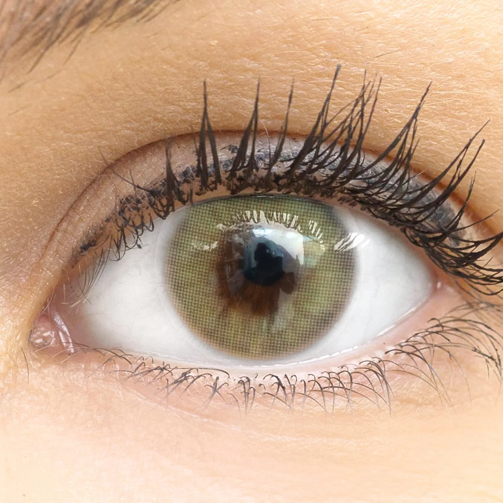 GLAMLENS lentillas de colores verdes Jasmine Light Green 1 par 90 Días Sin Graduación hidrogel de silicona