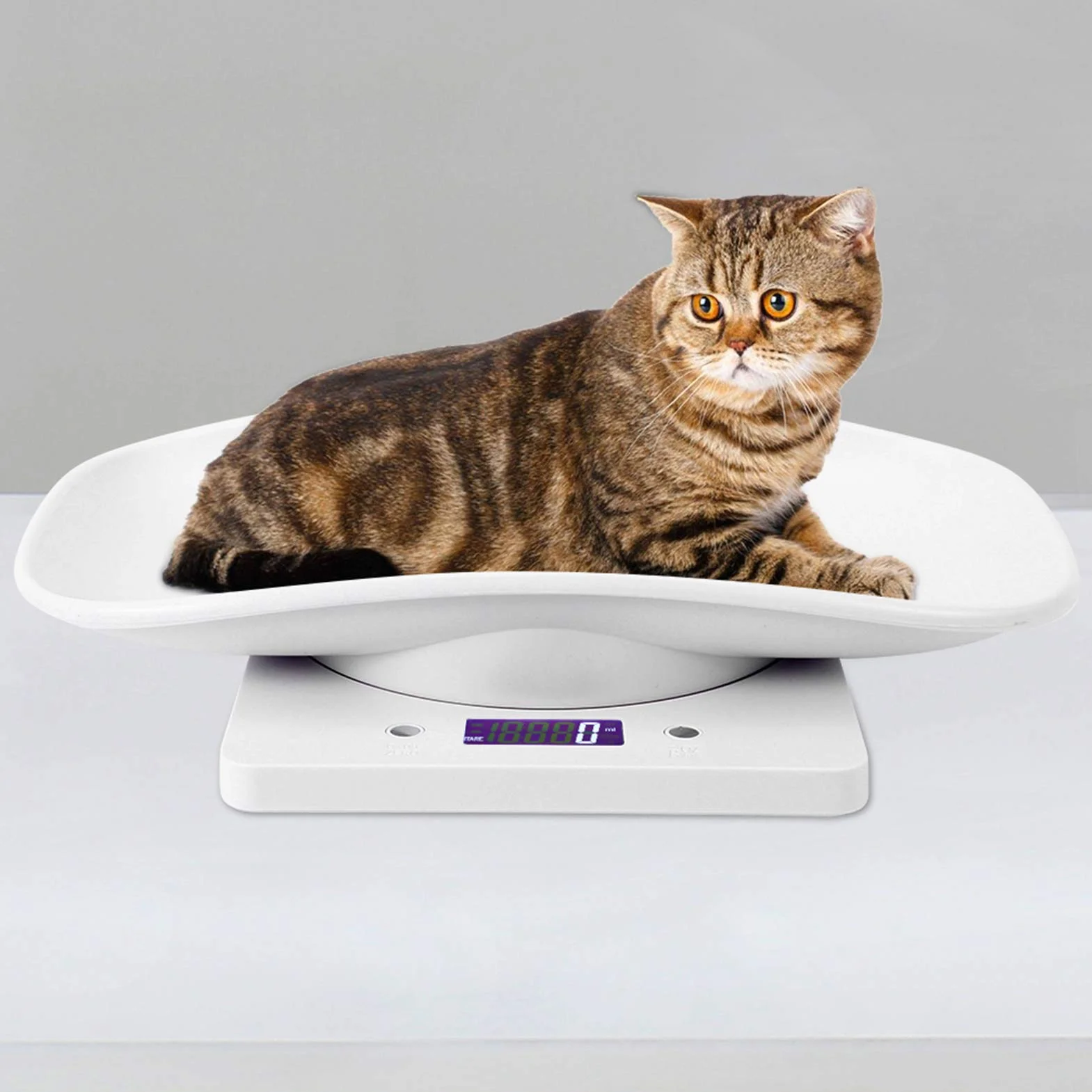 Báscula Digital para Mascotas Pequeñas 10 Kg/1g, Kit de Parto para Cachorros, Electrónica de Cocina