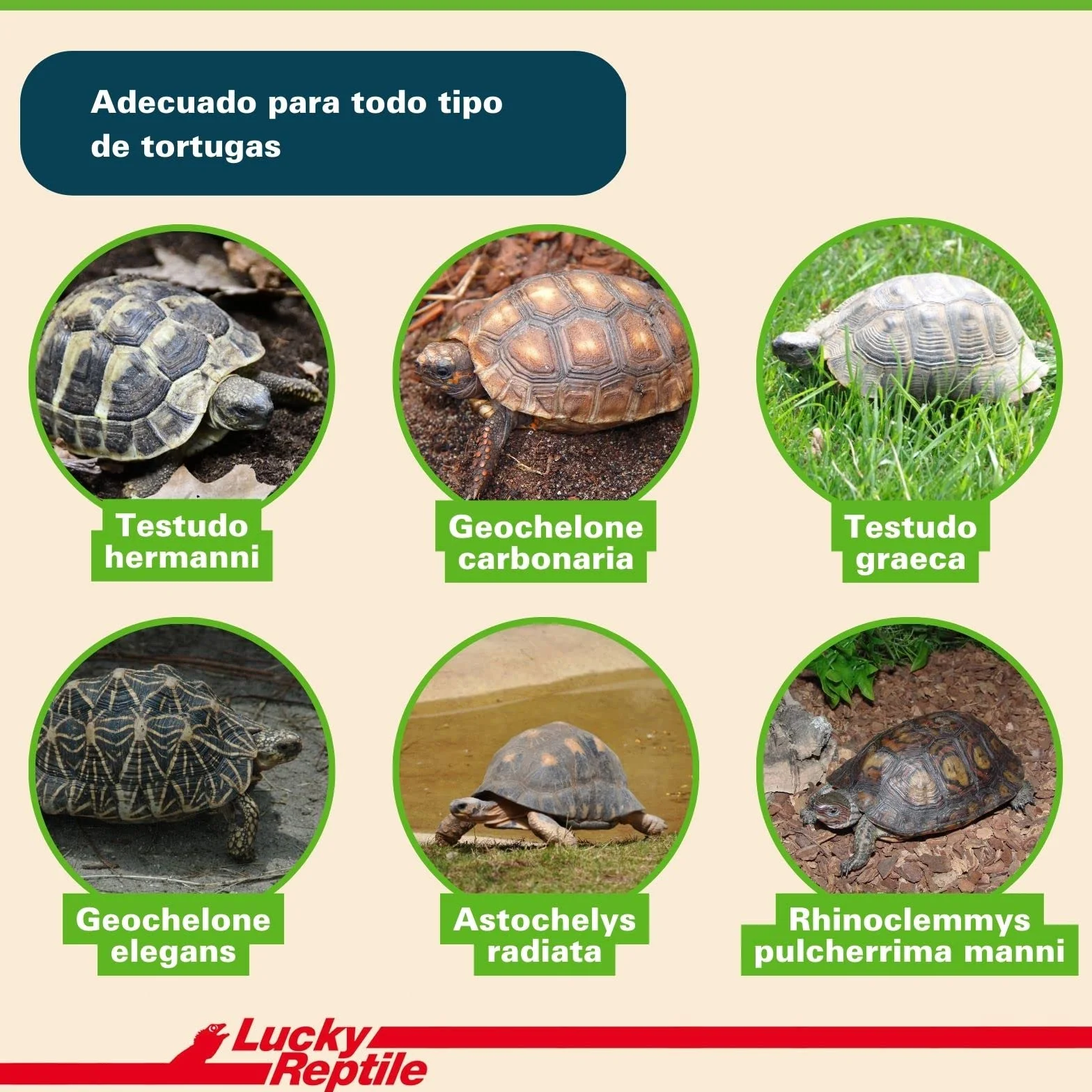 Lucky Reptile Tortoise Bedding 20 Litre