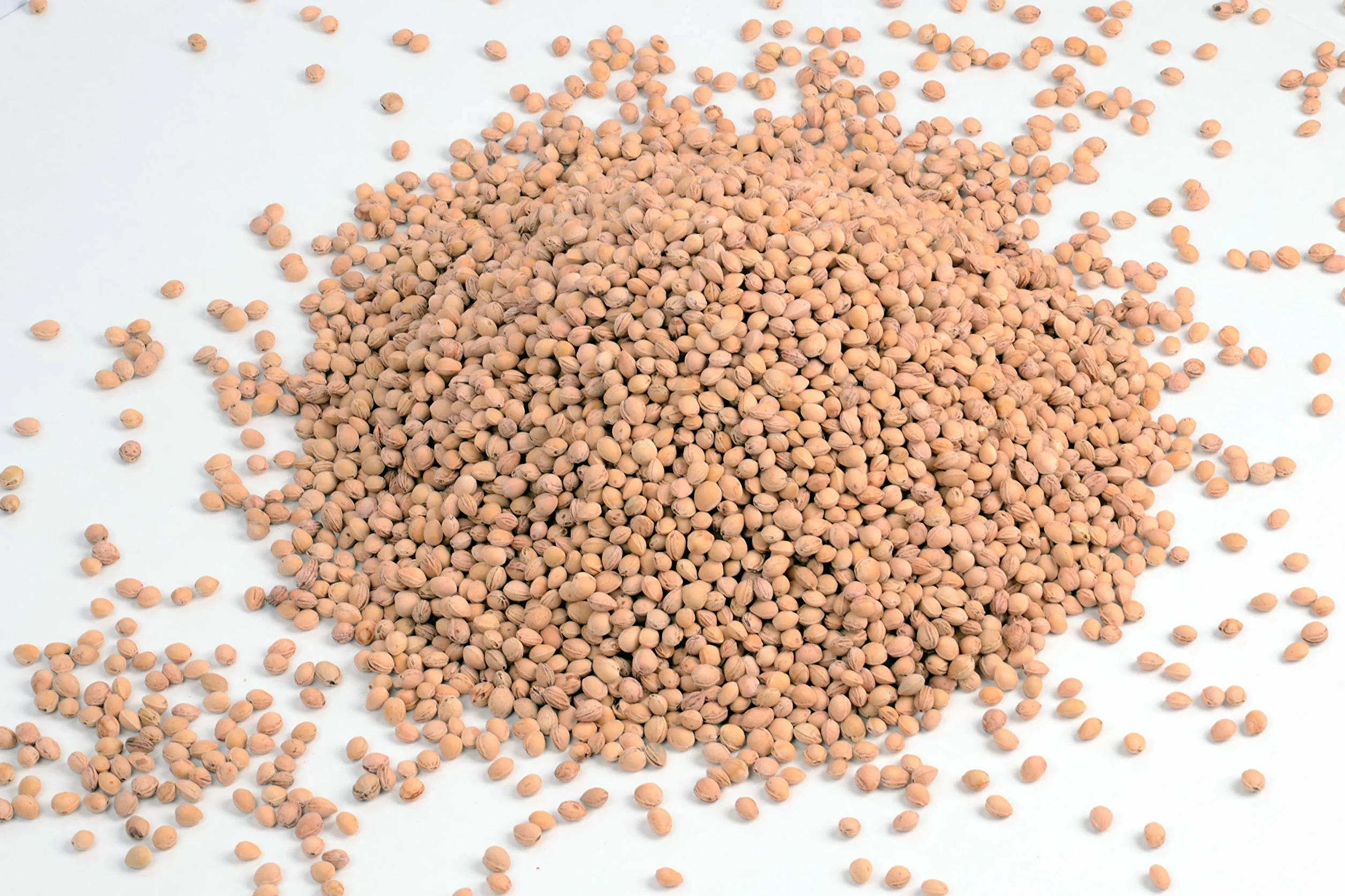 Naturgut Huesos De Cereza Para Cojín De Calor 5kg