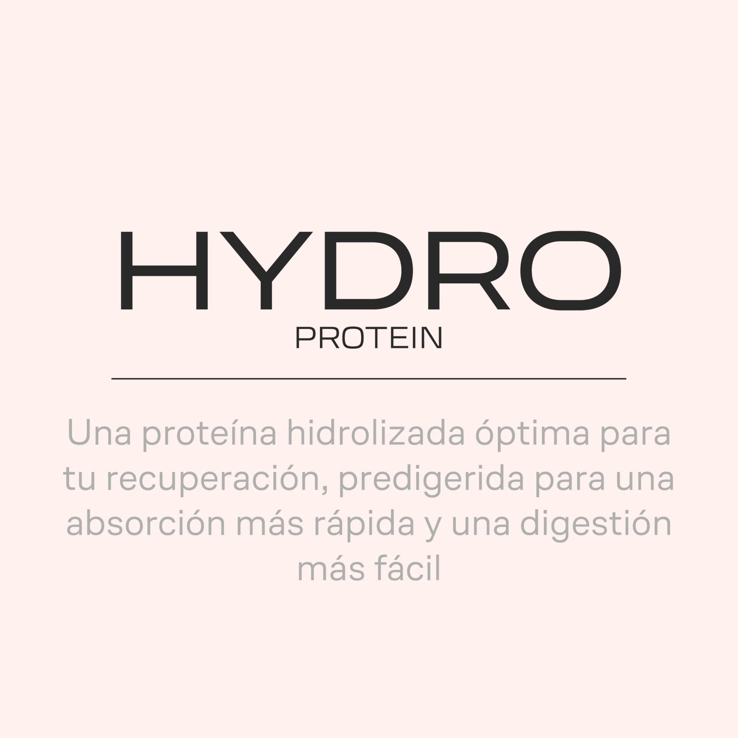 Beverly HYDRO PROTEIN Proteína Hidrolizada de Suero 1 kg 29 g Proteína por Ración DigeZyme Tolerase Alta Digestibilidad Chocolate avellana