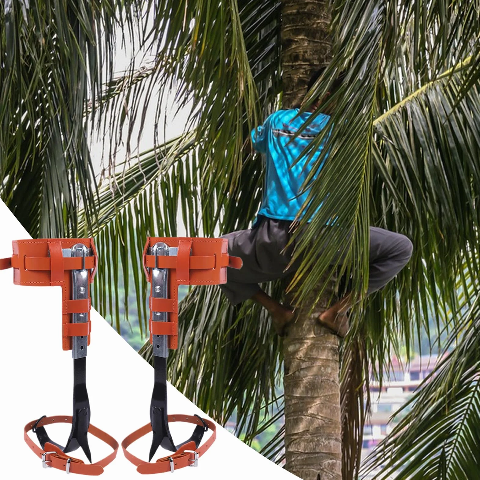 Genérico Espuelas para Trepar Árboles | Picos para Escalada De Árboles Actividades Exteriores - Ergonómico Altura Ajustable Accesorio De Recreación Al Aire Libre para La Poda El Corte La Gestión De