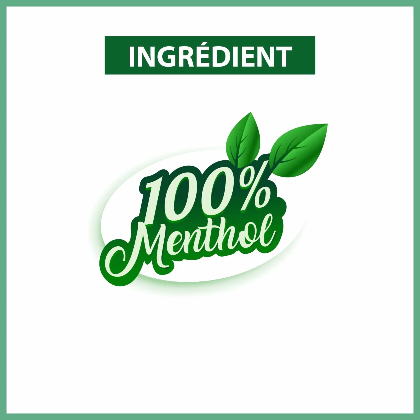 MACARON AU MENTHOL SALVA GM BA