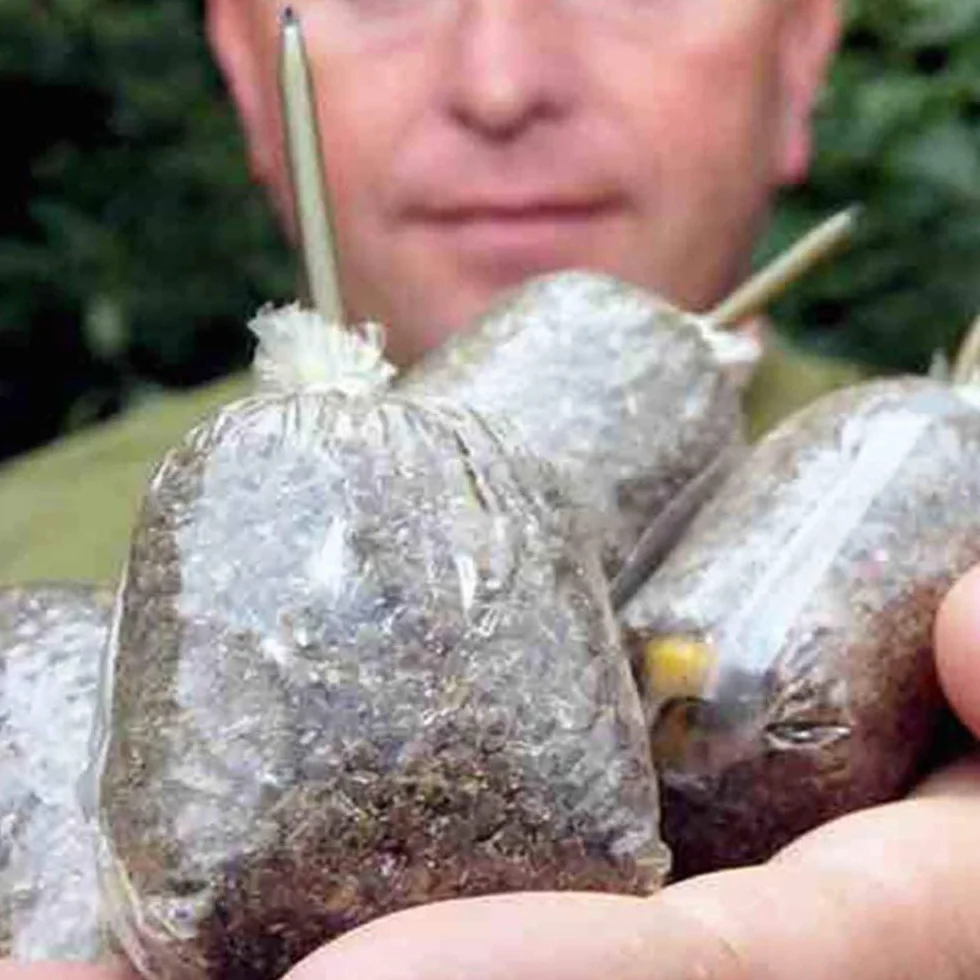 POFET PVA - Bolsas de pesca de carpa, bolsa de cebos solubles en agua rápida para aparejos de boilie, equipo de pesca de carpas, accesorios de aparejos