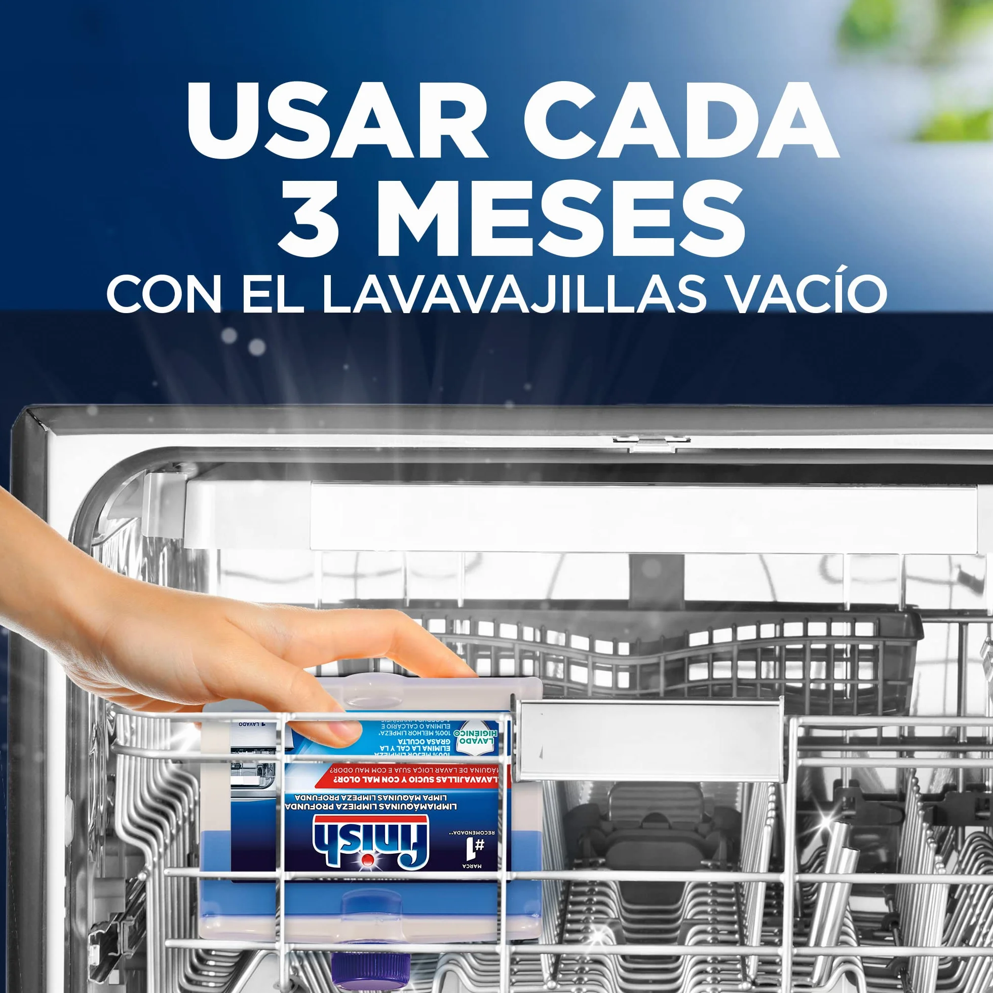 Finish Limpiamáquinas Líquido para Lavavajillas 2 x 250ml