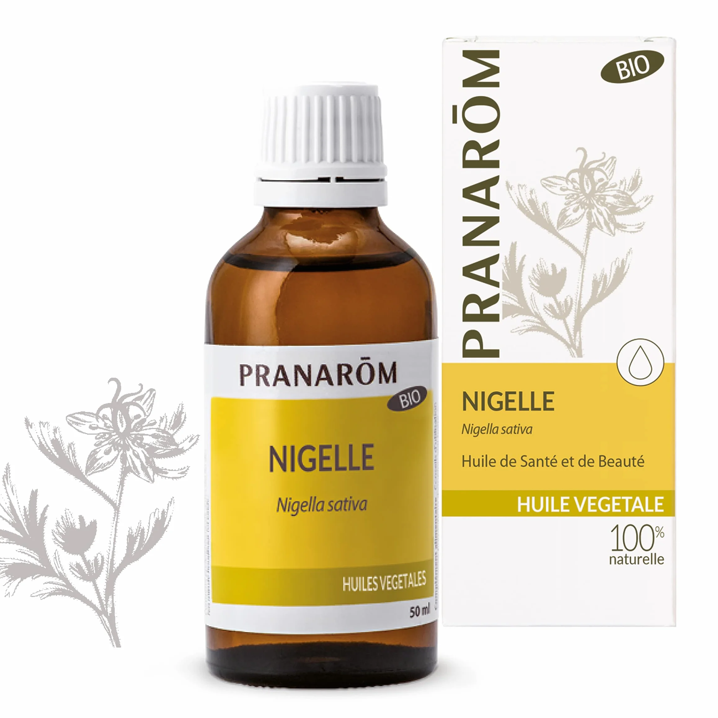 PRANAROM Aceite de Comino Negro Bio 50ml – Nigella Sativa Prensado en Frío