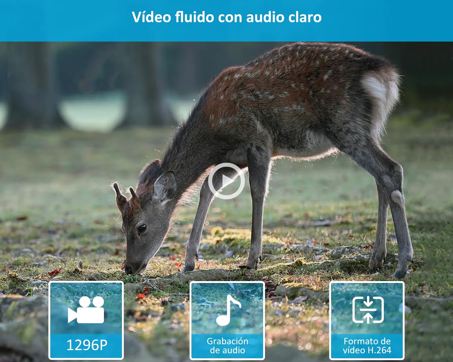 GardePro E5S Câmaras de Caça 64MP 1296P H.264 Vidéo, Camara Fototrampeo con Alcance de Visión Nocturna de 30m y 0,1s Tiempo de Activación, LED IR de 940nm