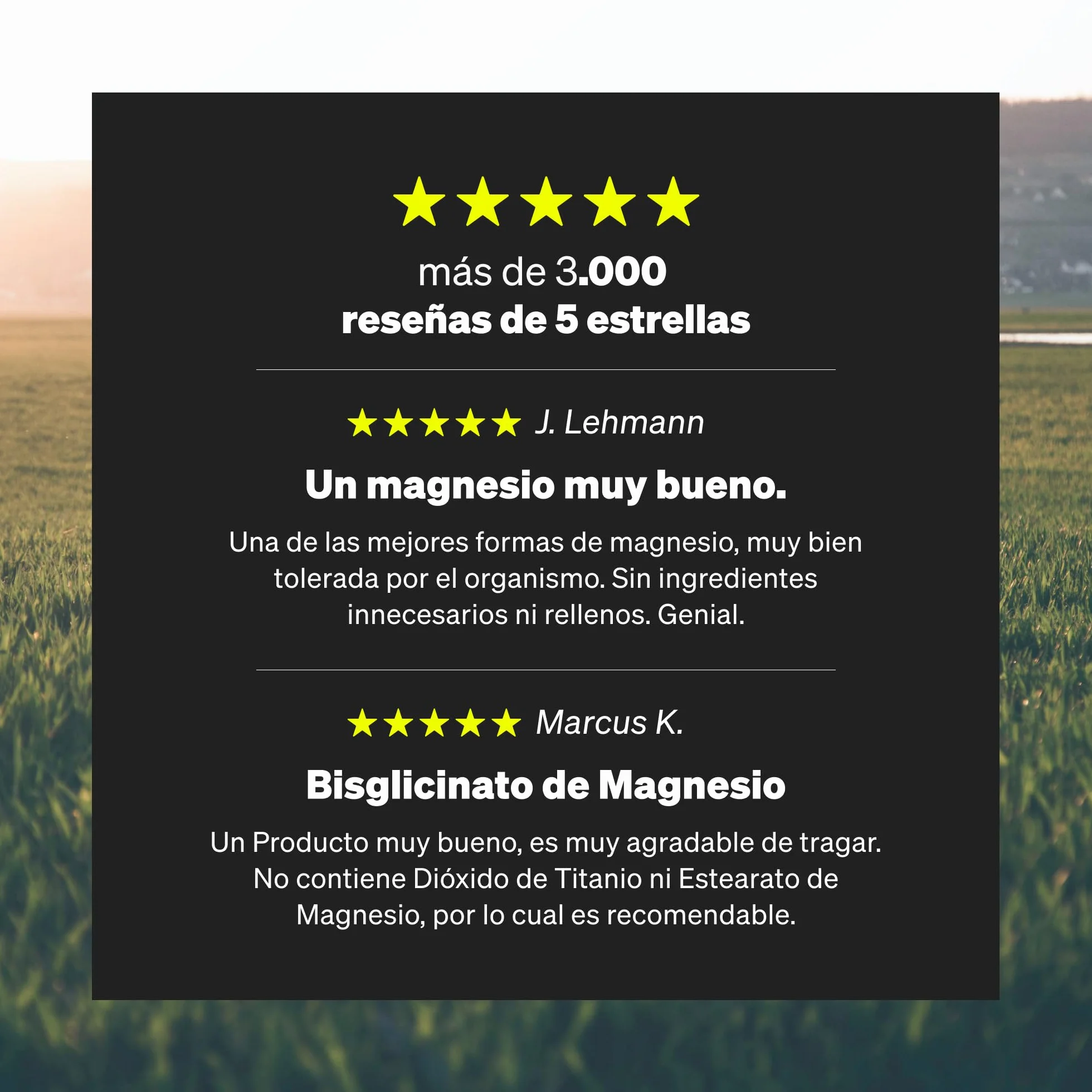 Glicinato de magnesio 300 mg magnesio elemental 180 cápsulas quelado vegano alta dosificación