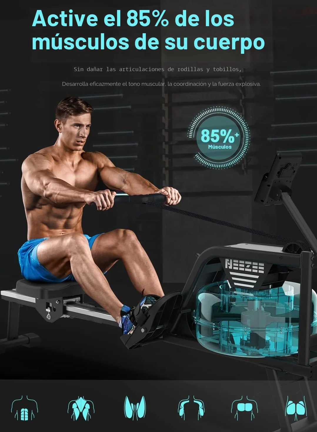 Neezee Máquina de Remo, máquina de Remo para Gimnasio en casa con riel de Aluminio, máquina de Remo de Agua con Soporte para Tableta, Resistencia al Agua y Pantalla LCD