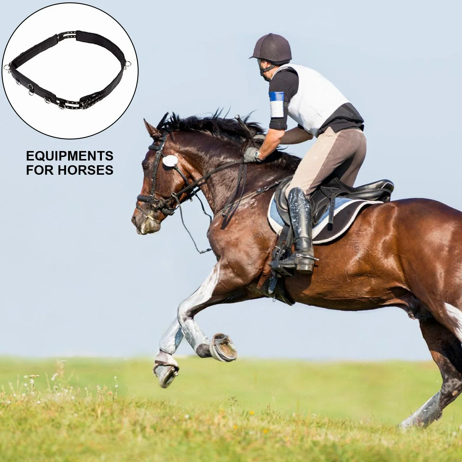 Sillines de entrenamiento con hebilla para caballo, arnés para el vientre, accesorios para equitación, ajustable