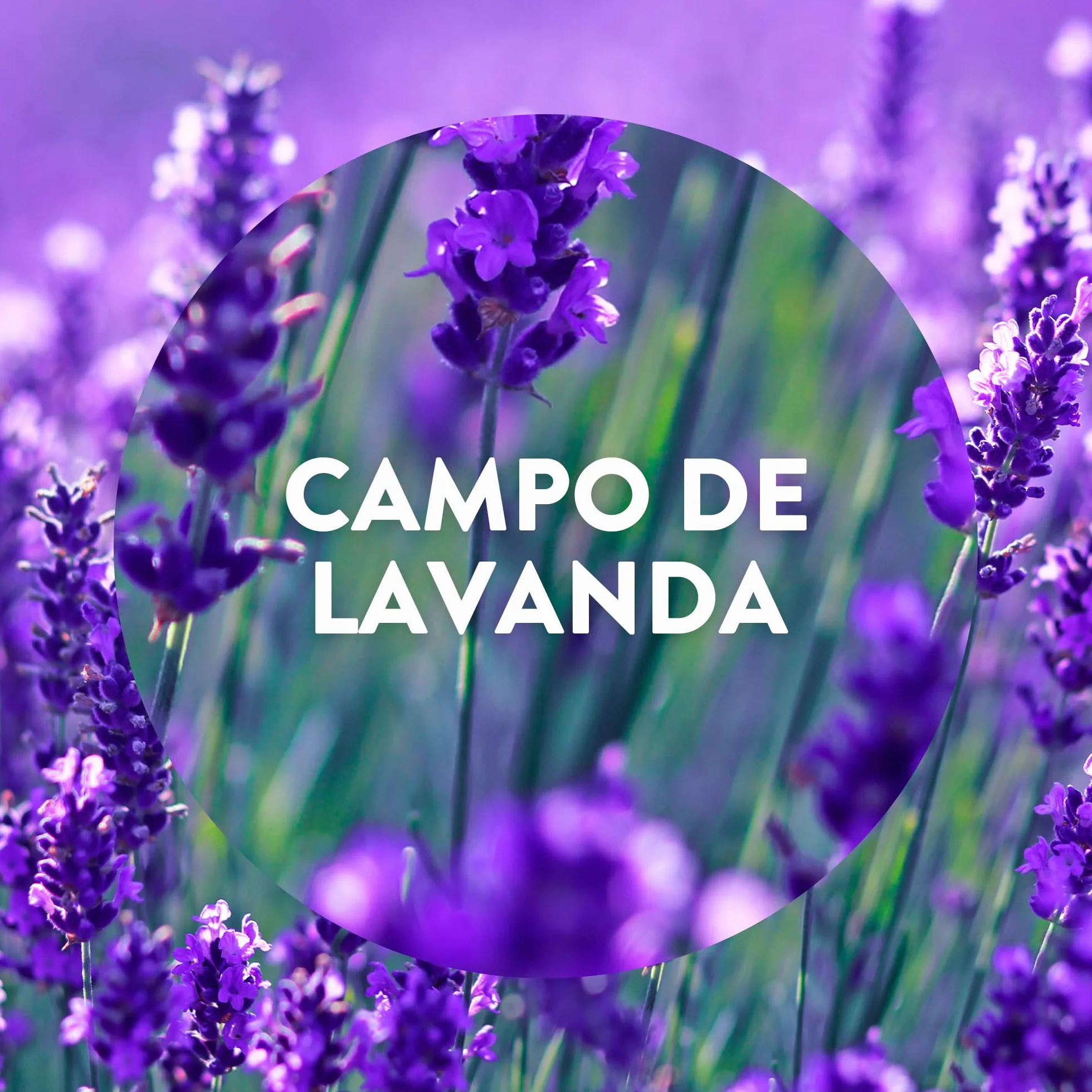 Air Wick Pack de 3 Recambios Ambientador Eléctrico Lavanda con Aceites Esenciales