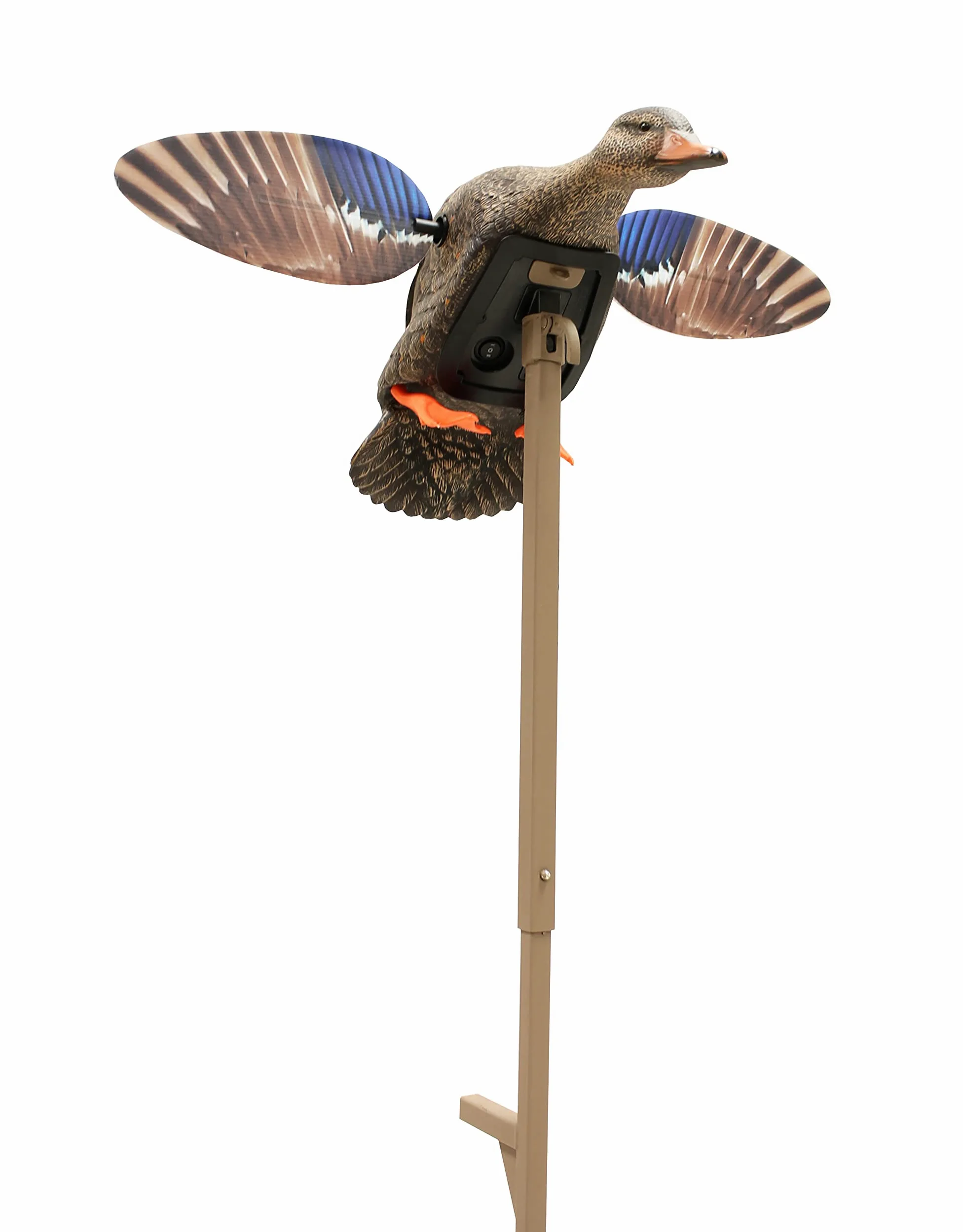 Mojo Outdoors Hw2471-2 Elite Series Mini Mallard Hen-Señuelo de Caza de Patos, Unisex, Gallina