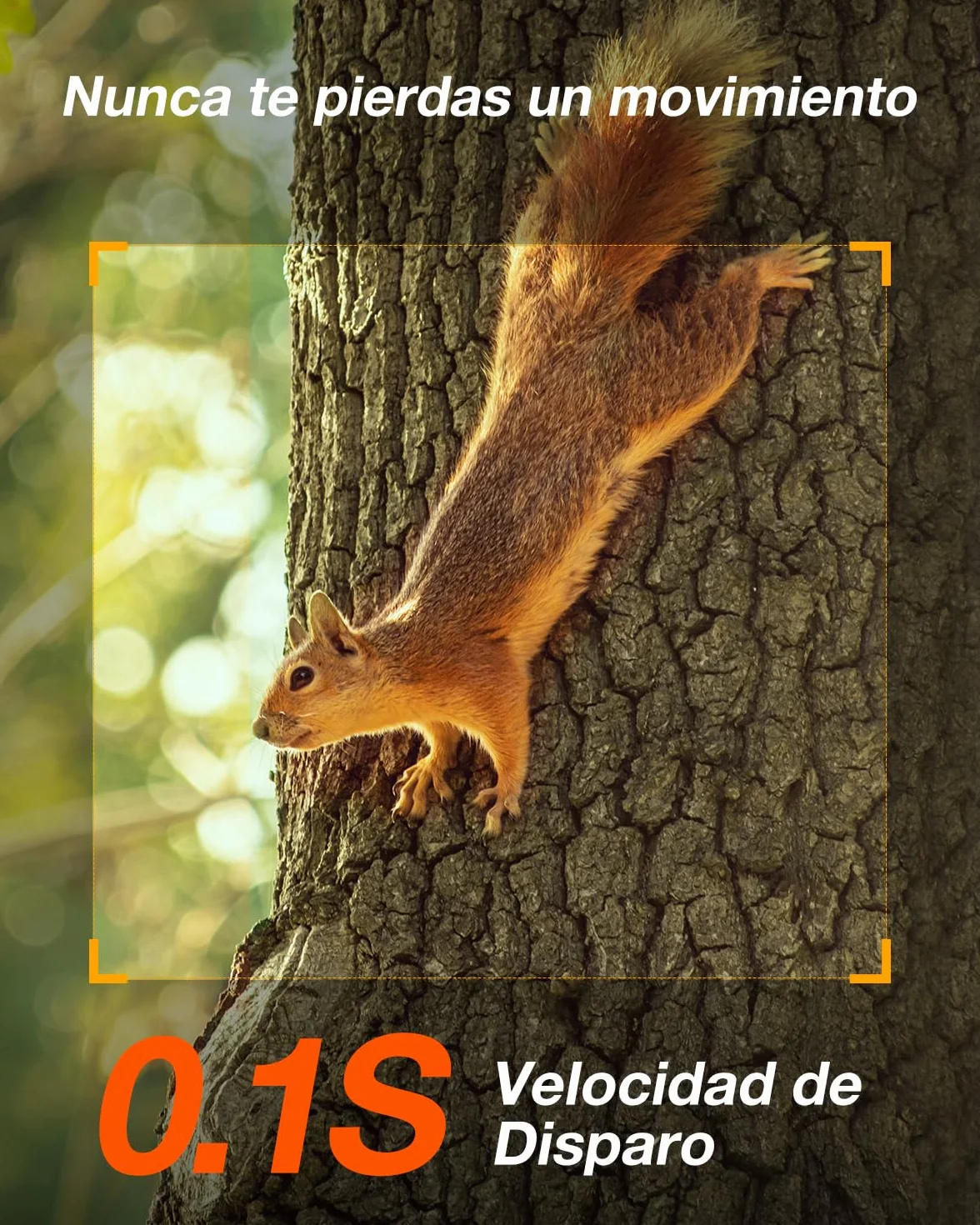 iZEEKER 4G LTE Cámara de Caza Solar, Cámara de Fototrampeo 2K PTZ con Tarjeta SD & SIM Vista Completa de 360° Transmisión en Vivo IR Sin Brillo Visión Nocturna Detección de Movimiento IP65 Impermeable
