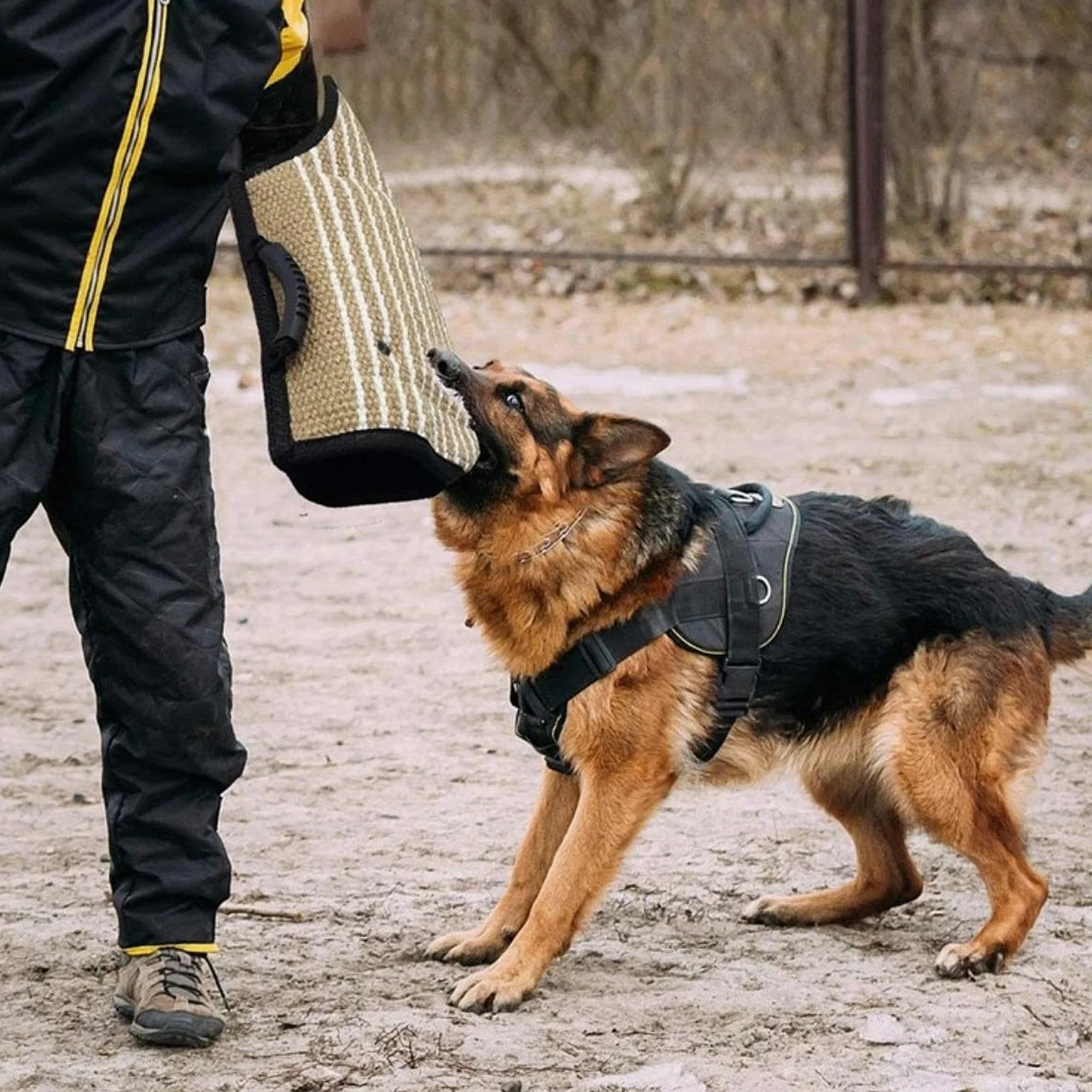 Kit de Adiestramiento para Perros Mordedores